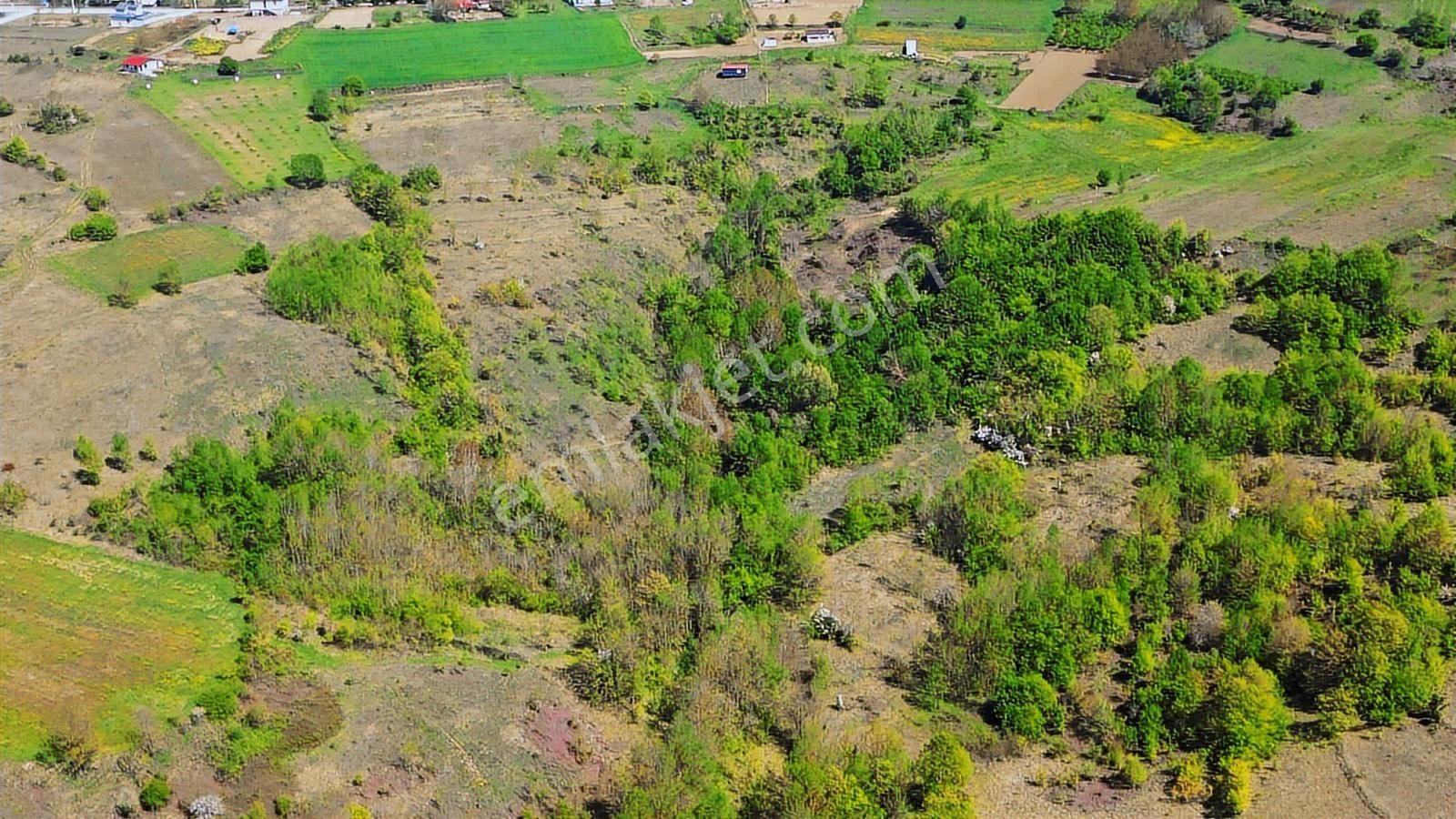 Kocaeli Kandıra Ahmethacılar Da Yatırımlık Tarla 825m2 - Görsel 2