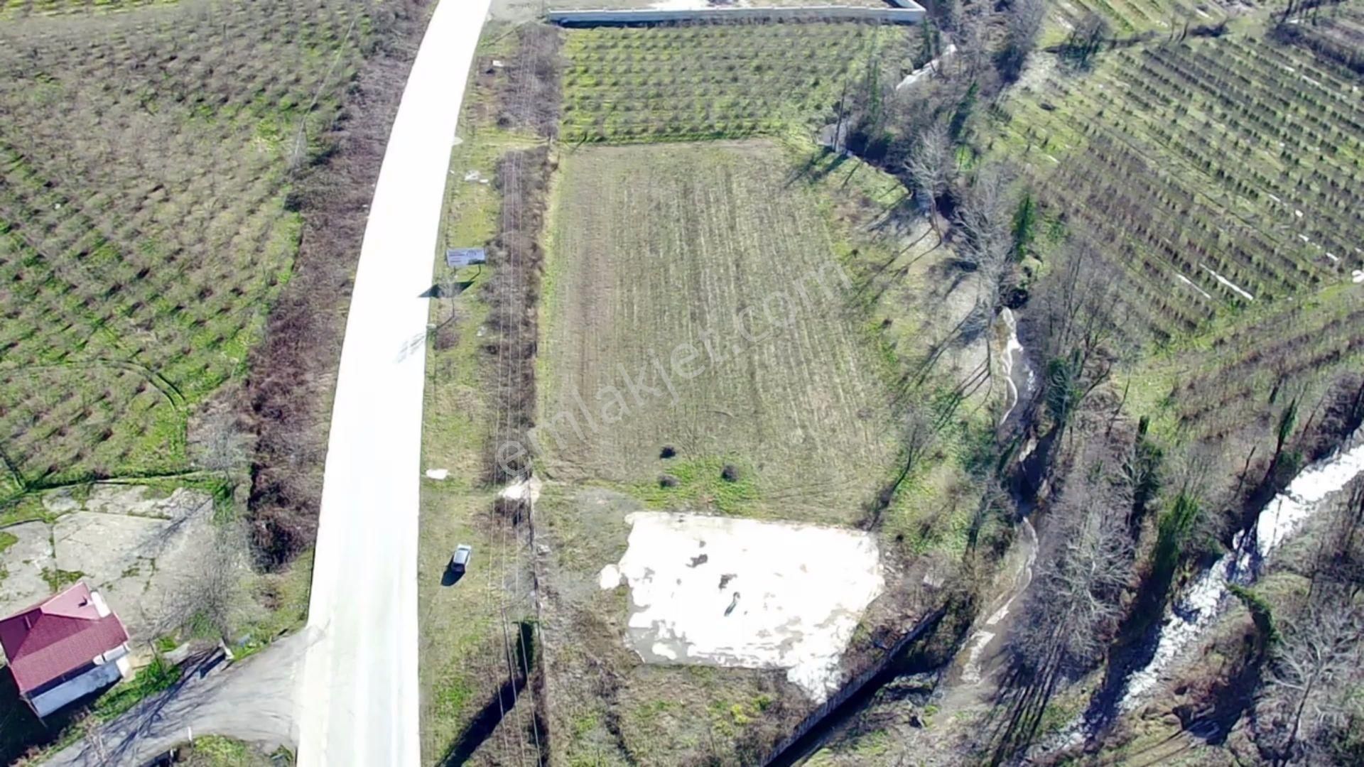 Salıpazarı Anayola Cephe Satılık 6.903 M.tarla Akgün Kurumsaldan - Görsel 3
