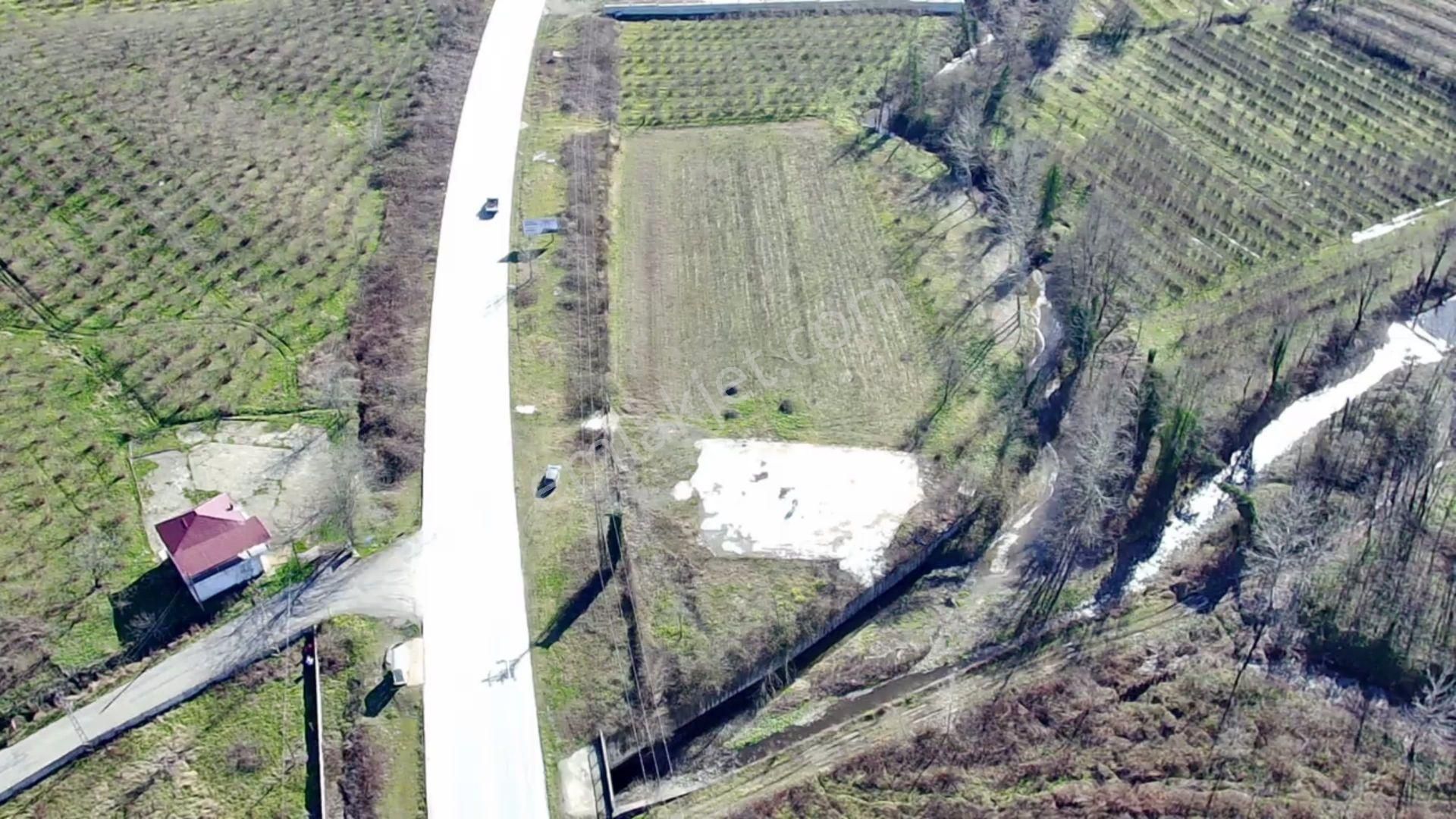 Salıpazarı Anayola Cephe Satılık 6.903 M.tarla Akgün Kurumsaldan - Görsel 5