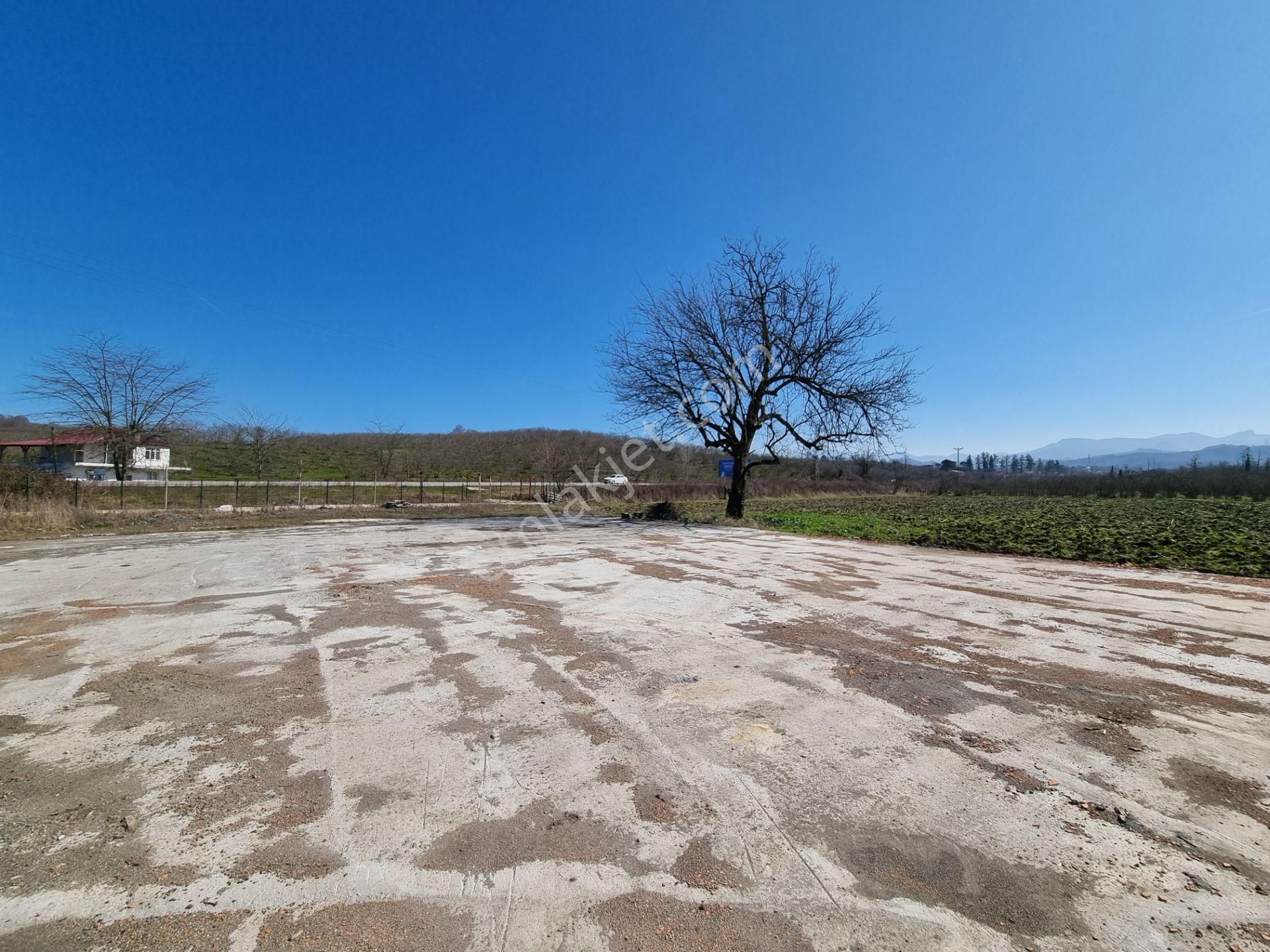 Salıpazarı Anayola Cephe Satılık 6.903 M.tarla Akgün Kurumsaldan - Görsel 20