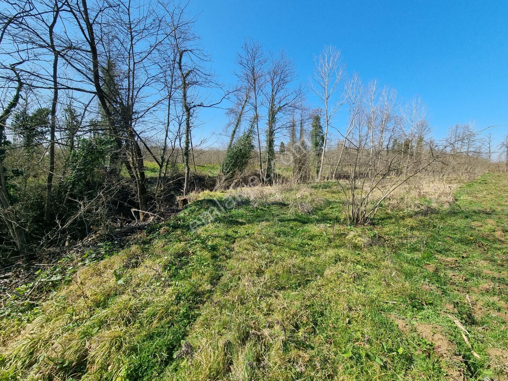 Salıpazarı Anayola Cephe Satılık 6.903 M.tarla Akgün Kurumsaldan - Görsel 31