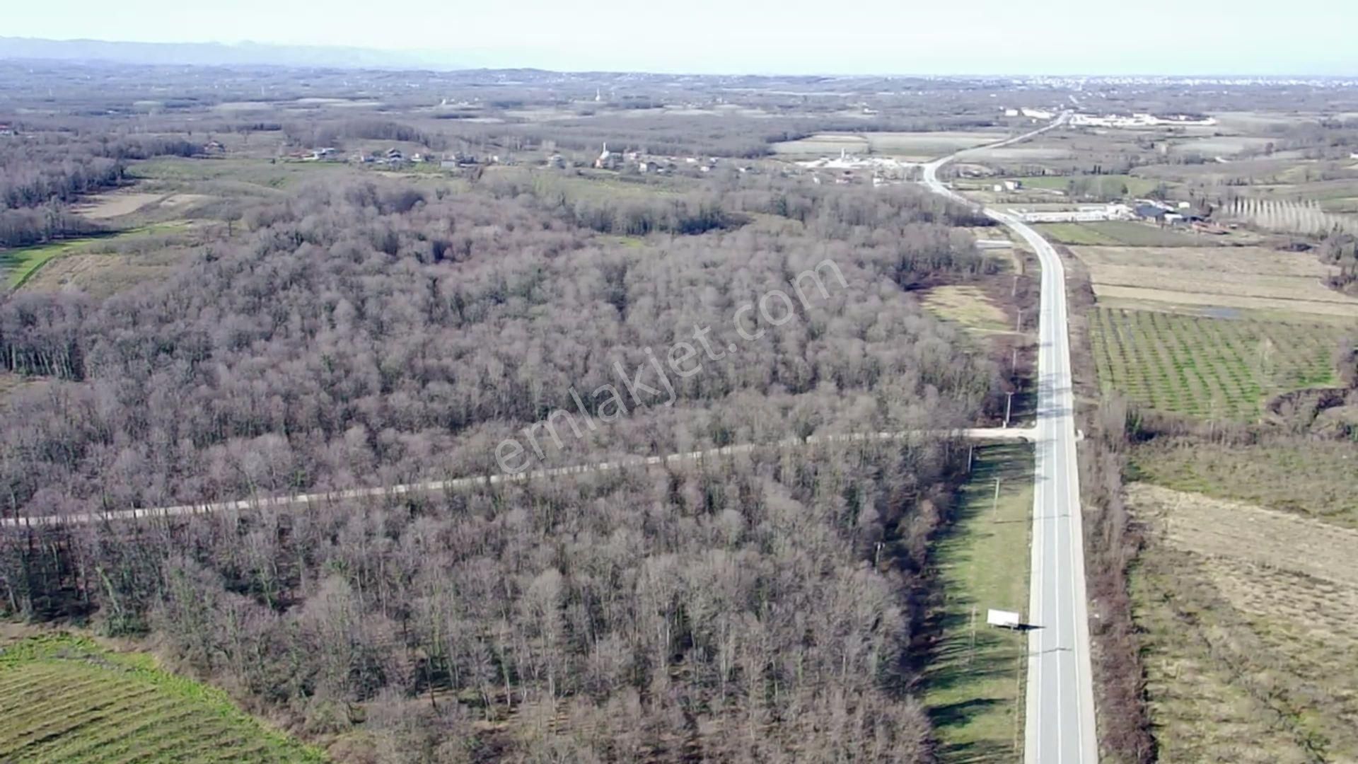 Salıpazarı Anayola Cephe Satılık 6.903 M.tarla Akgün Kurumsaldan - Görsel 8