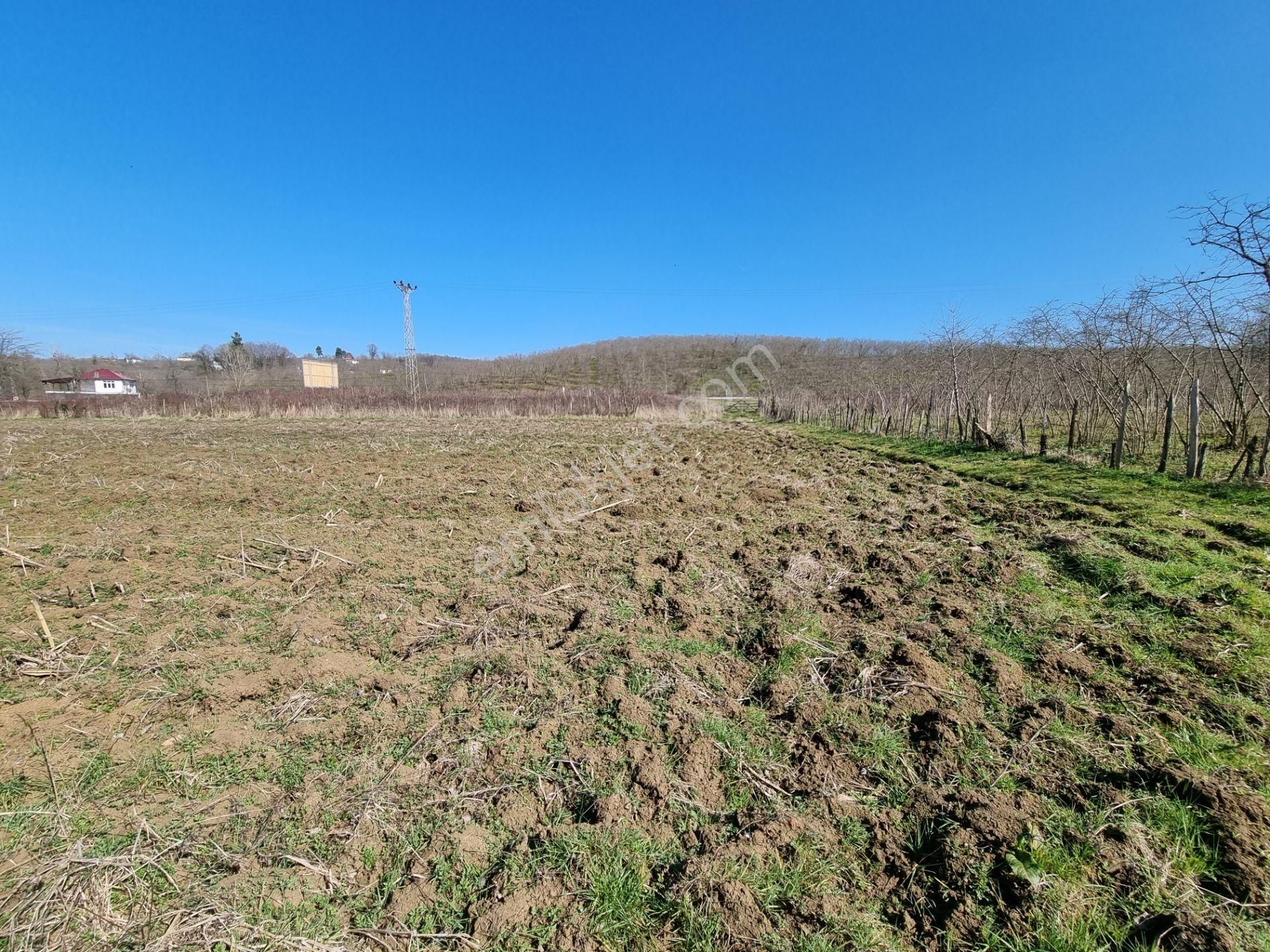 Salıpazarı Anayola Cephe Satılık 6.903 M.tarla Akgün Kurumsaldan - Görsel 28
