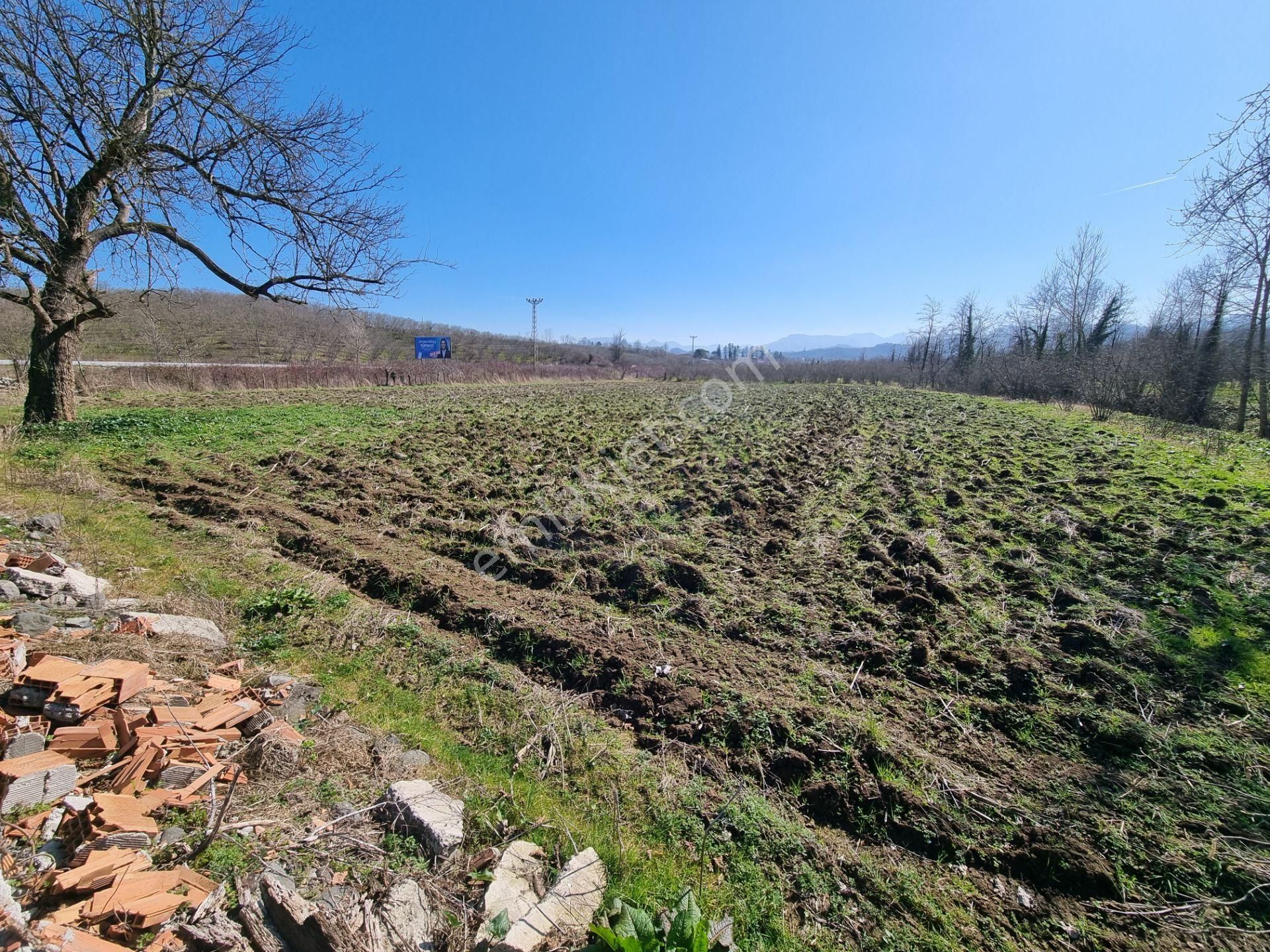 Salıpazarı Anayola Cephe Satılık 6.903 M.tarla Akgün Kurumsaldan - Görsel 23