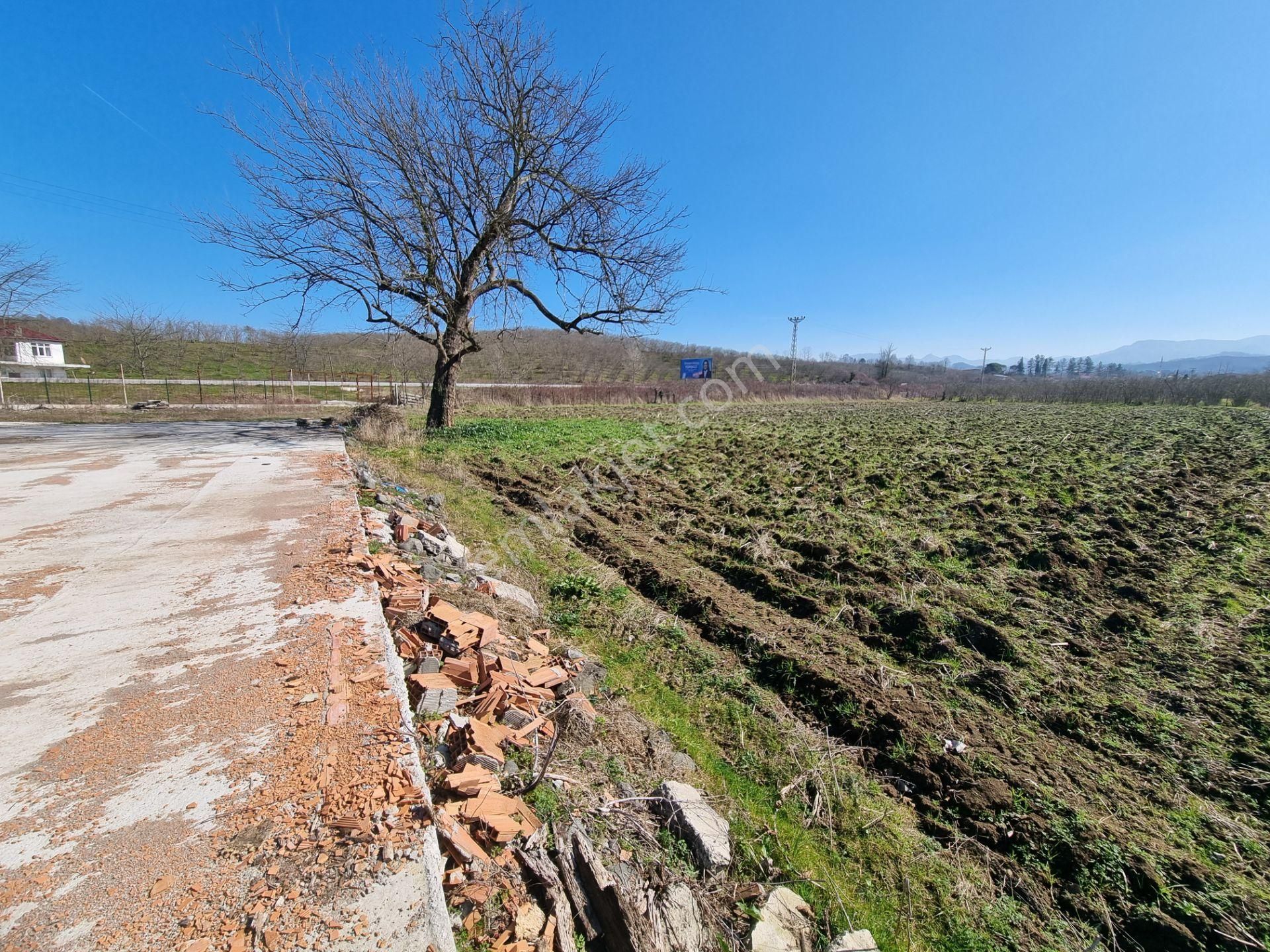 Salıpazarı Anayola Cephe Satılık 6.903 M.tarla Akgün Kurumsaldan - Görsel 24