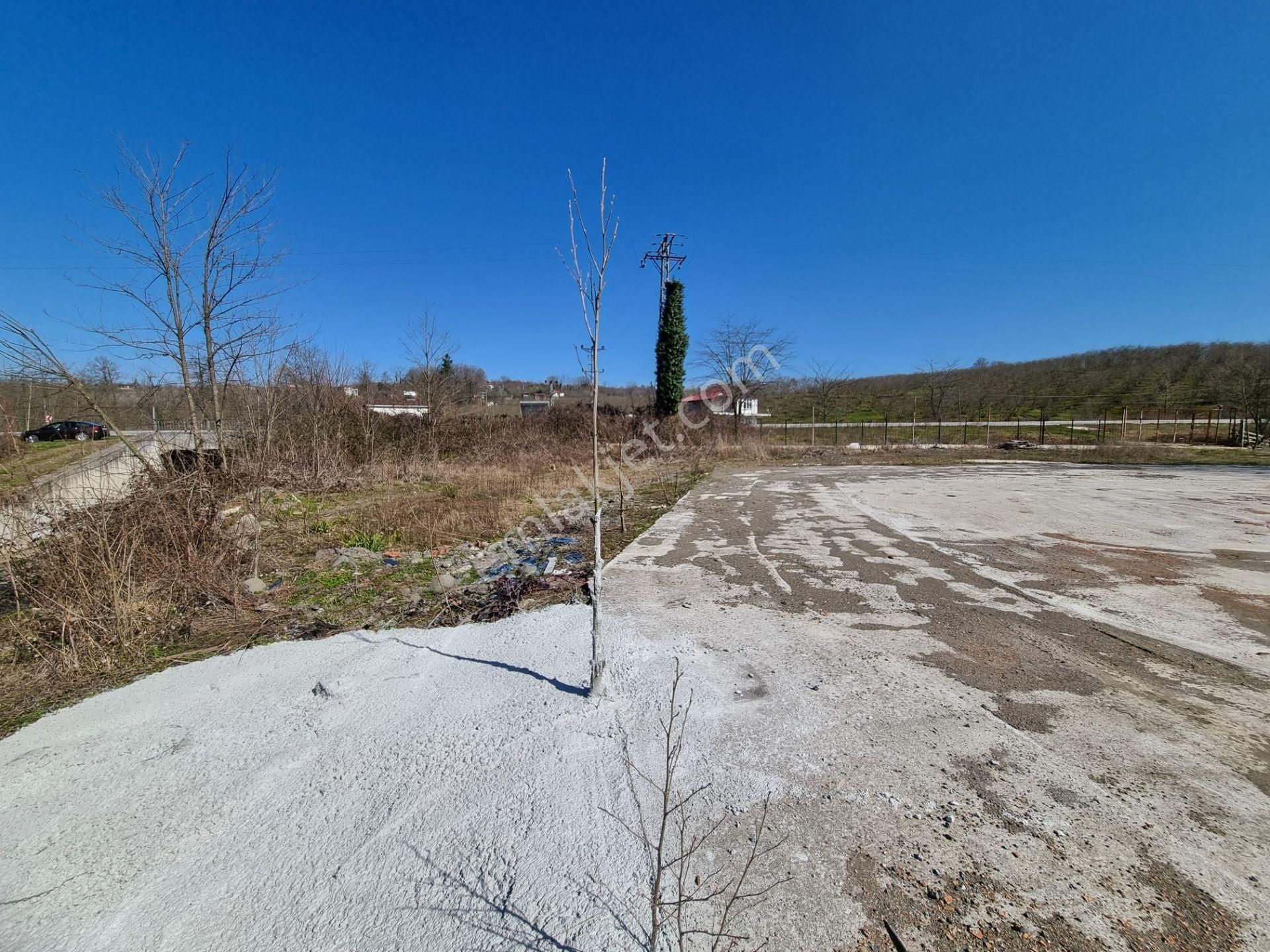 Salıpazarı Anayola Cephe Satılık 6.903 M.tarla Akgün Kurumsaldan - Görsel 14