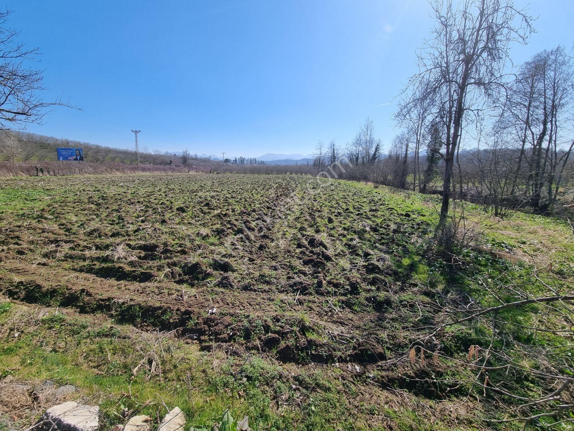 Salıpazarı Anayola Cephe Satılık 6.903 M.tarla Akgün Kurumsaldan - Görsel 22