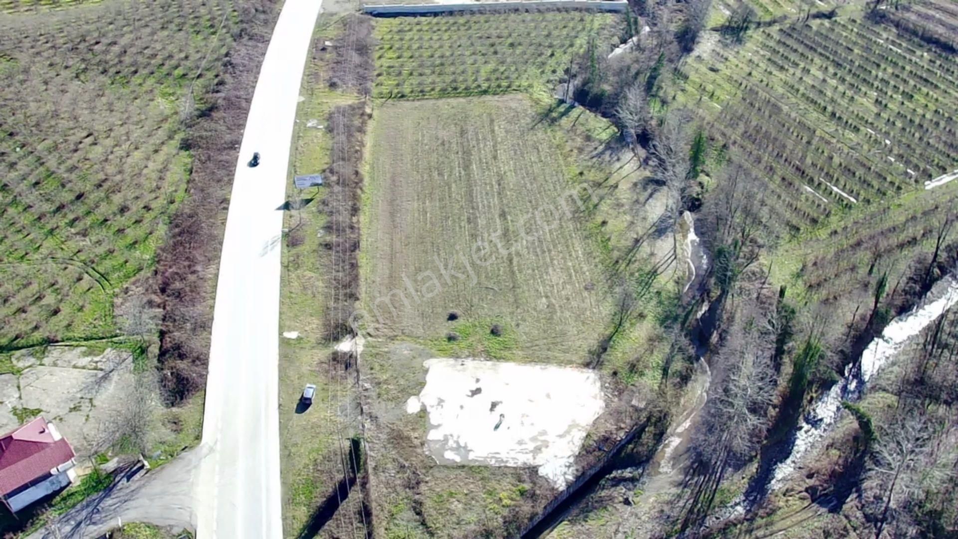 Salıpazarı Anayola Cephe Satılık 6.903 M.tarla Akgün Kurumsaldan - Görsel 2