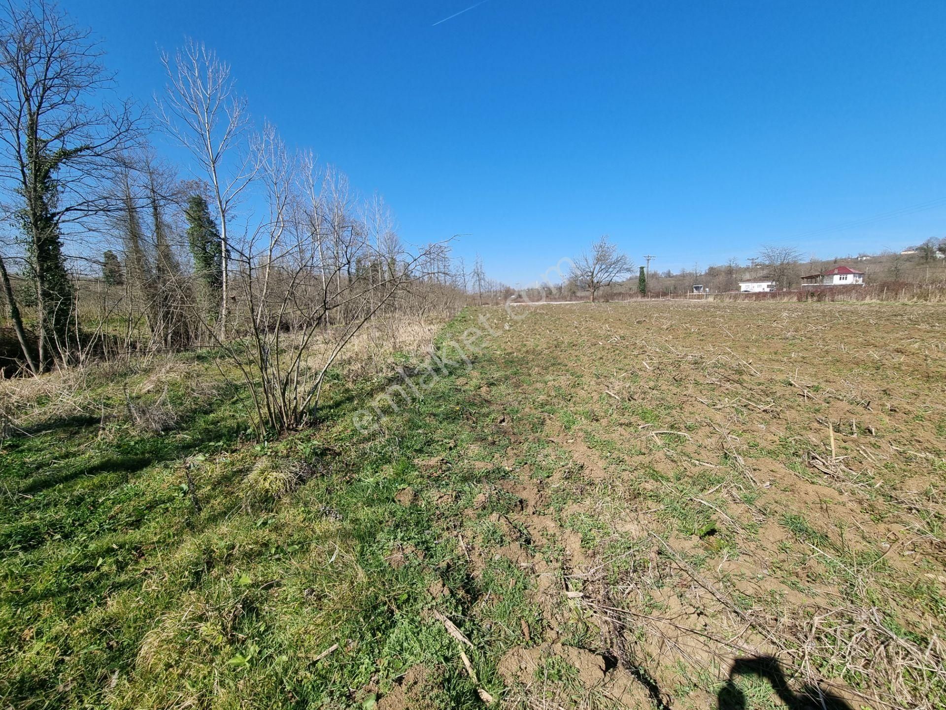 Salıpazarı Anayola Cephe Satılık 6.903 M.tarla Akgün Kurumsaldan - Görsel 29