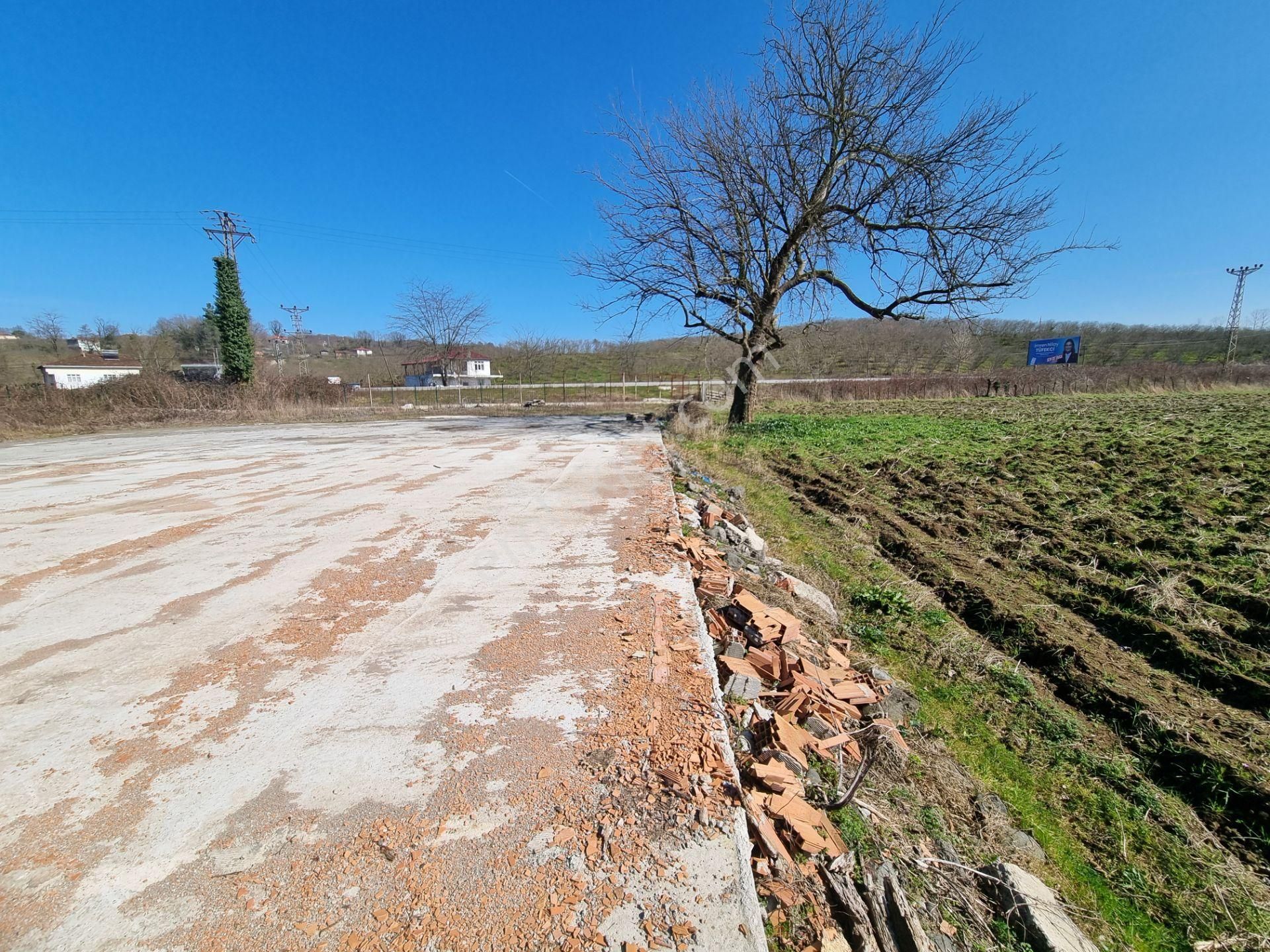 Salıpazarı Anayola Cephe Satılık 6.903 M.tarla Akgün Kurumsaldan - Görsel 25