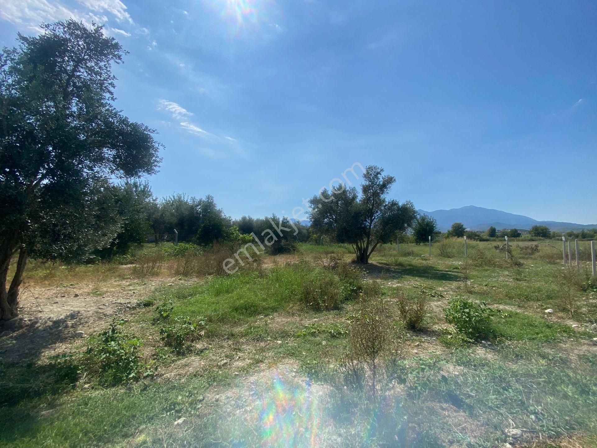 Goldhouse Dan Seydikemer De %15-30 İmarlı Arsa - Görsel 3