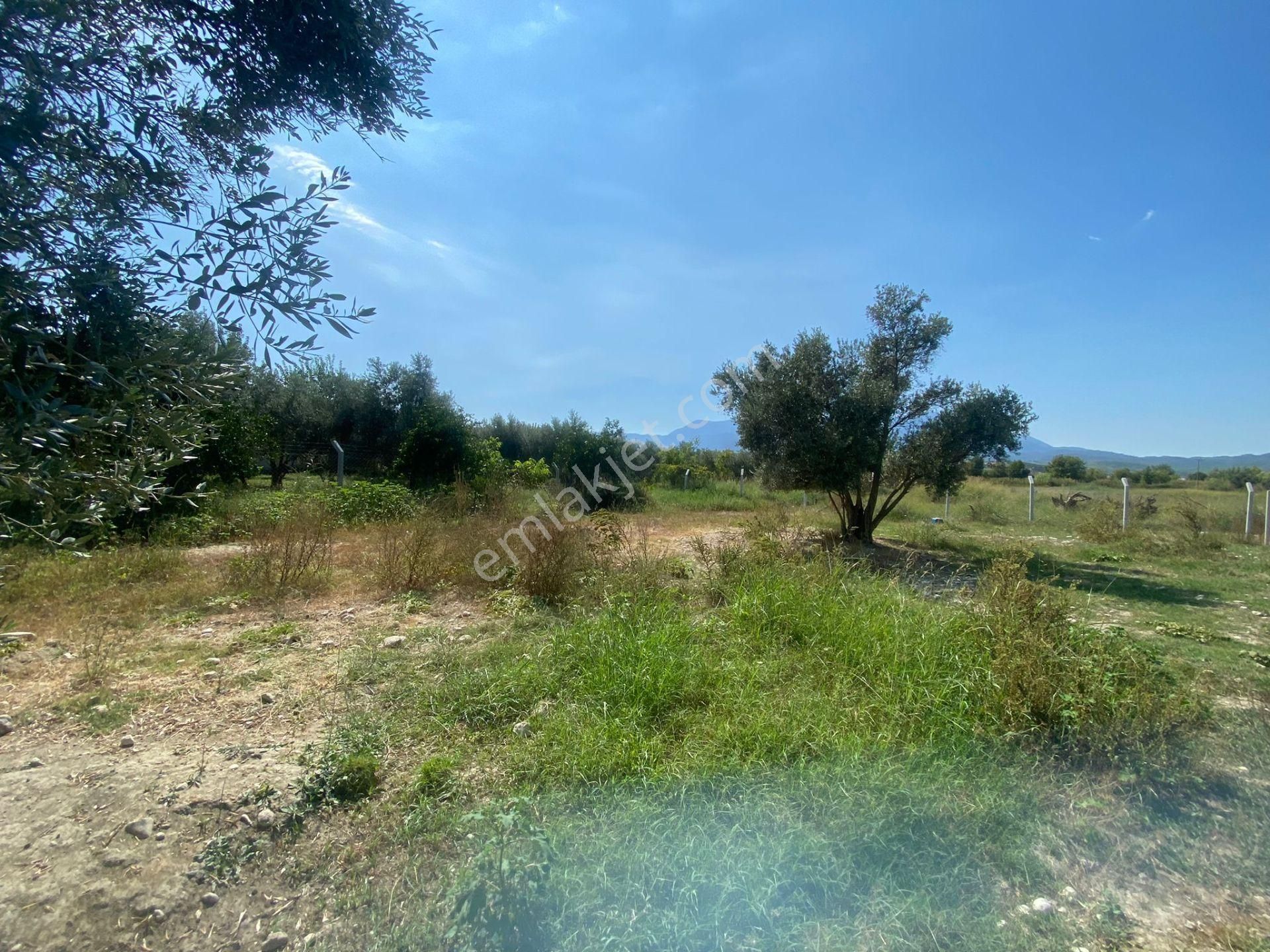 Goldhouse Dan Seydikemer De %15-30 İmarlı Arsa - Görsel 4