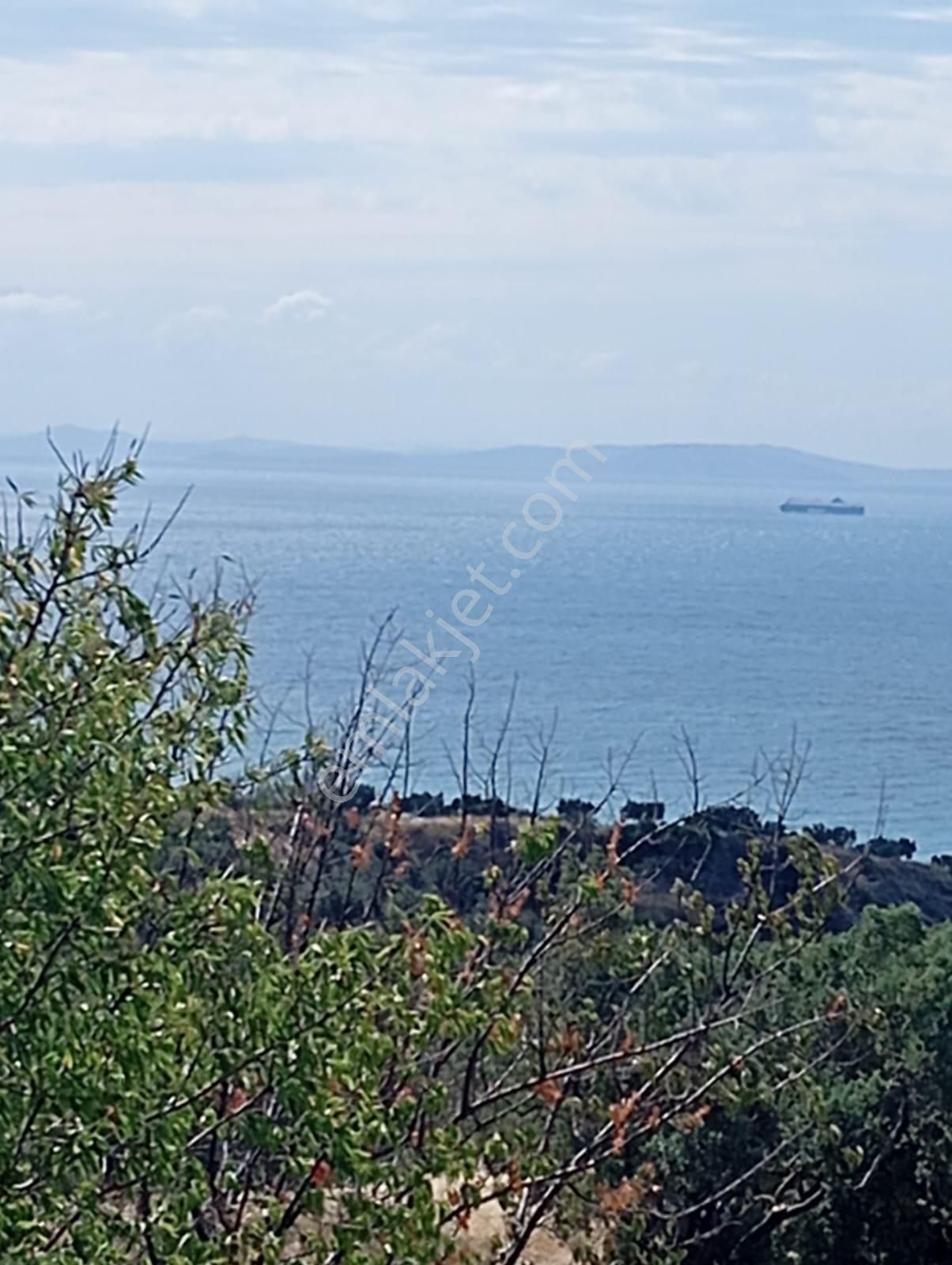 Atabey Gayrimenkulden Şarköy Çınarlı Mah. Satılık Bağ - Görsel 3