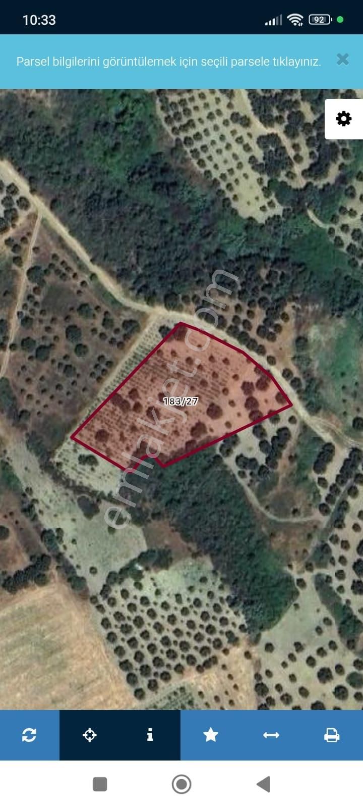 Atabey Gayrimenkulden Şarköy Çınarlı Mah. Satılık Bağ - Görsel 9