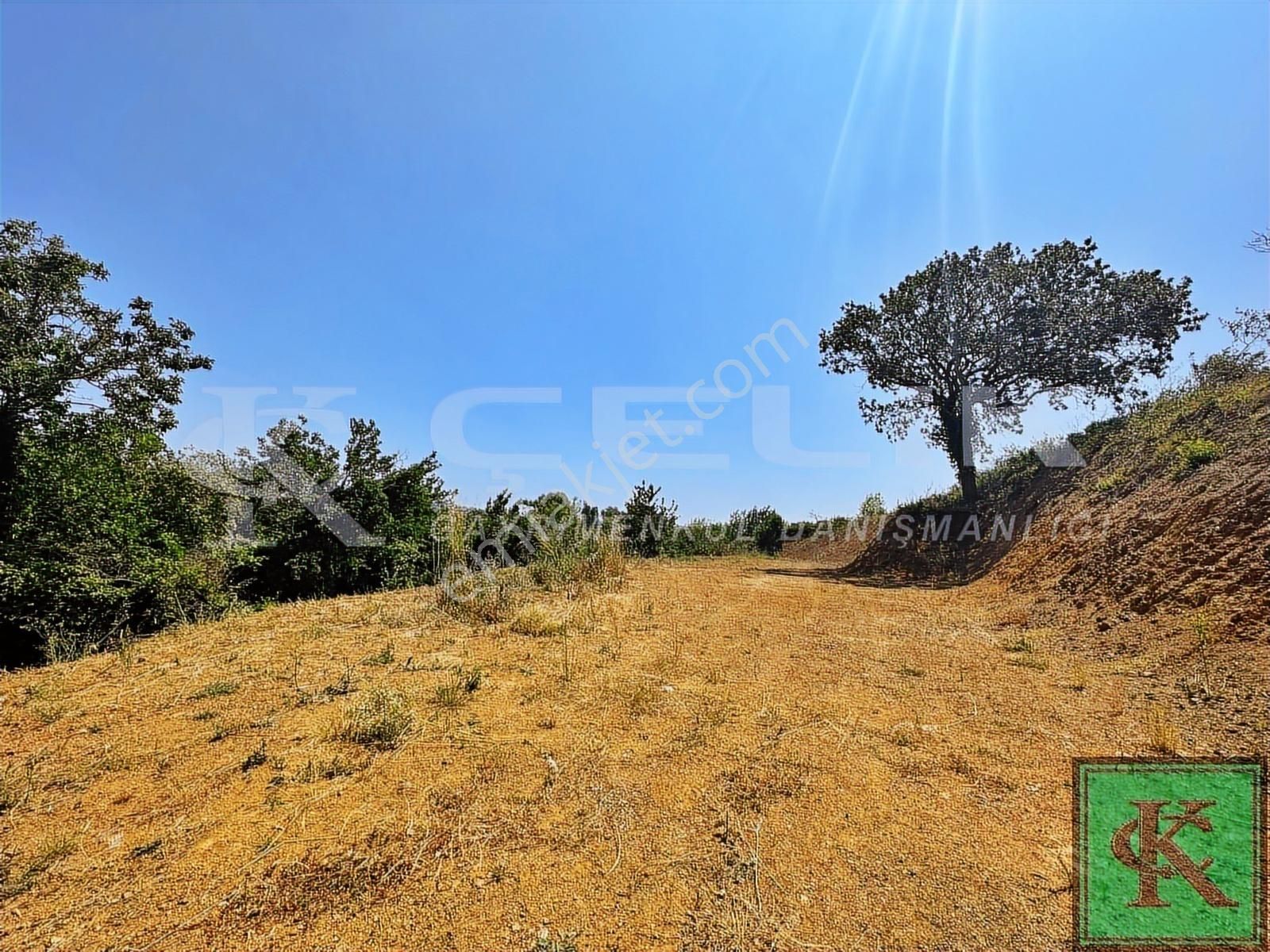 Çelik Gayrimenkul'den Edincik Sarı Alanda 745m2 Fırsat Arsa - Görsel 6