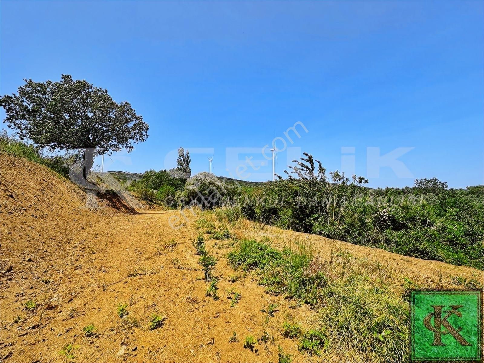 Çelik Gayrimenkul'den Edincik Sarı Alanda 745m2 Fırsat Arsa - Görsel 4