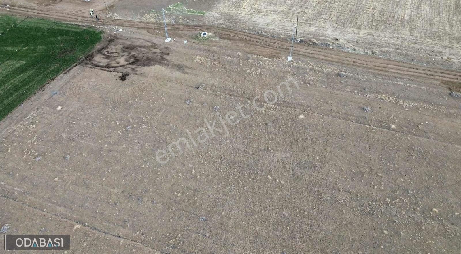 Bahçeli Cumhuriyette 484 M2 - Görsel 11