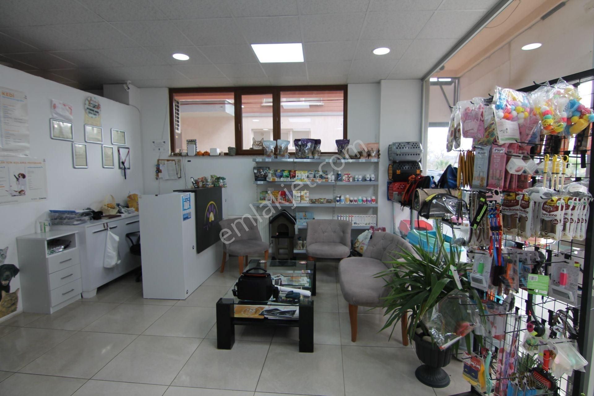 Çanakkale Merkez Eski Belediye Yakını Kiralık İşyeri - Görsel 7