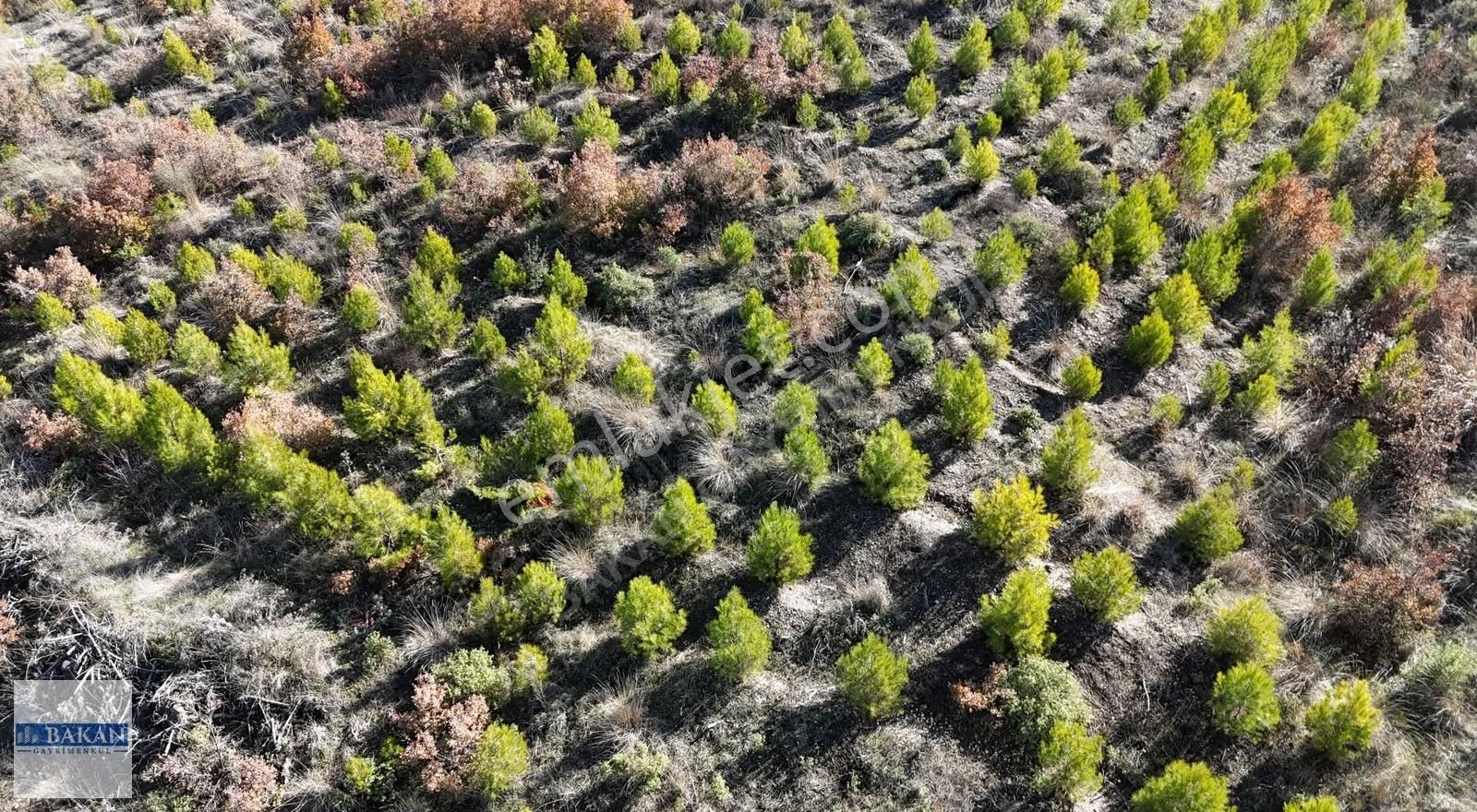 Bakan Gm'den Tavas Ebecik'de Yatırımlık Ges'e Uygun Tarla