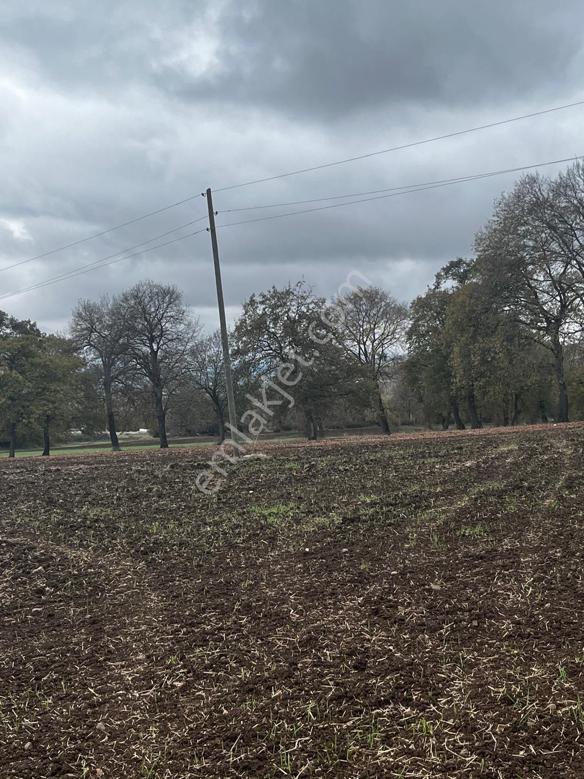 Akgün Kurumsal'dan Çarşamba'da 10429 M2 Satılık Tarla