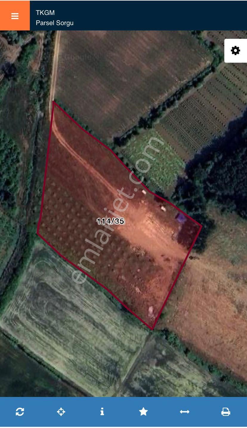 Akgün Kurumsal'dan Çarşamba'da 10429 M2 Satılık Tarla - Görsel 3