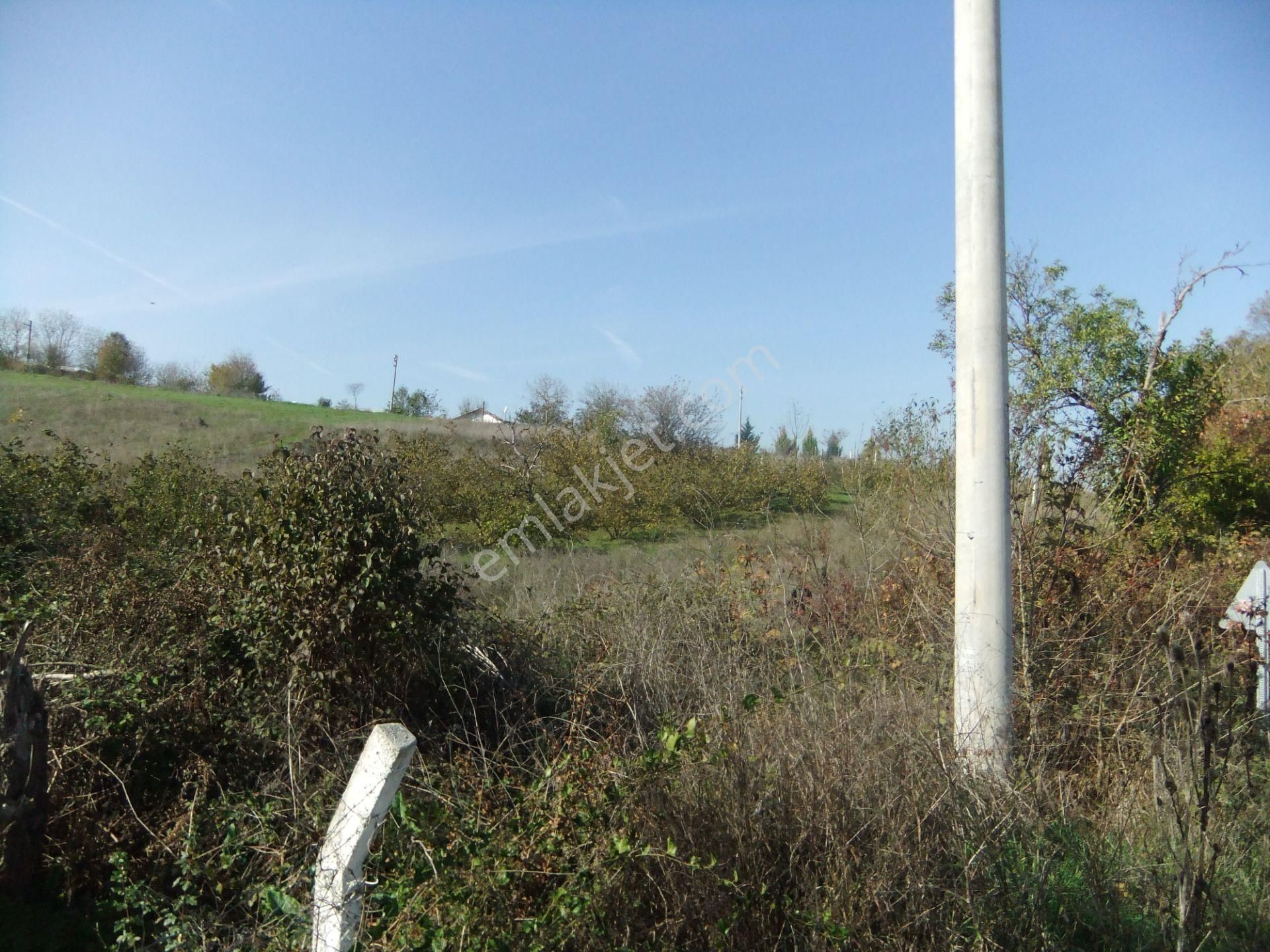 Tezcan Gayrimenkul'den Köy İçi İmarlı Arsa. - Görsel 4