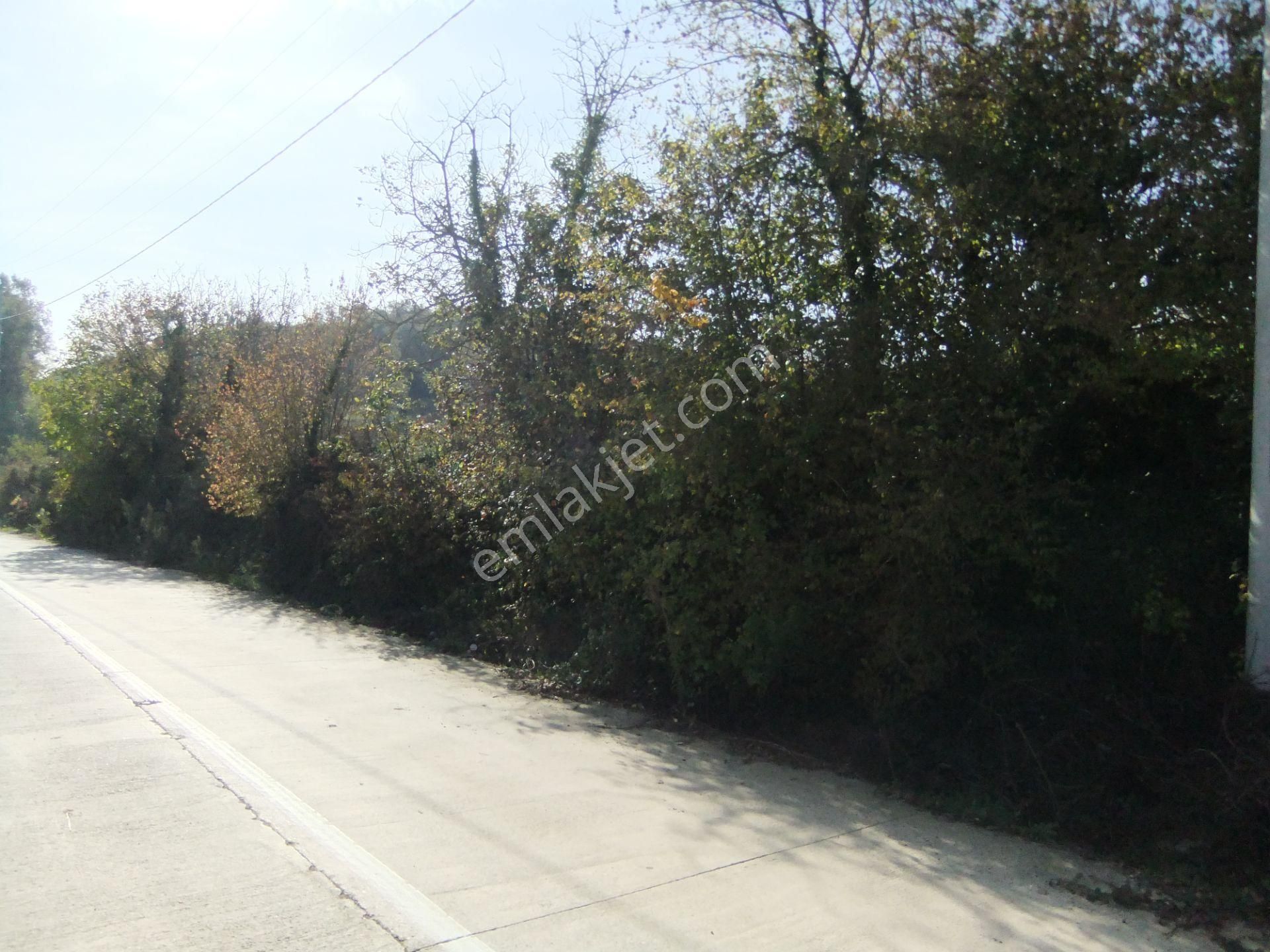 Tezcan Gayrimenkul'den Köy İçi İmarlı Arsa.