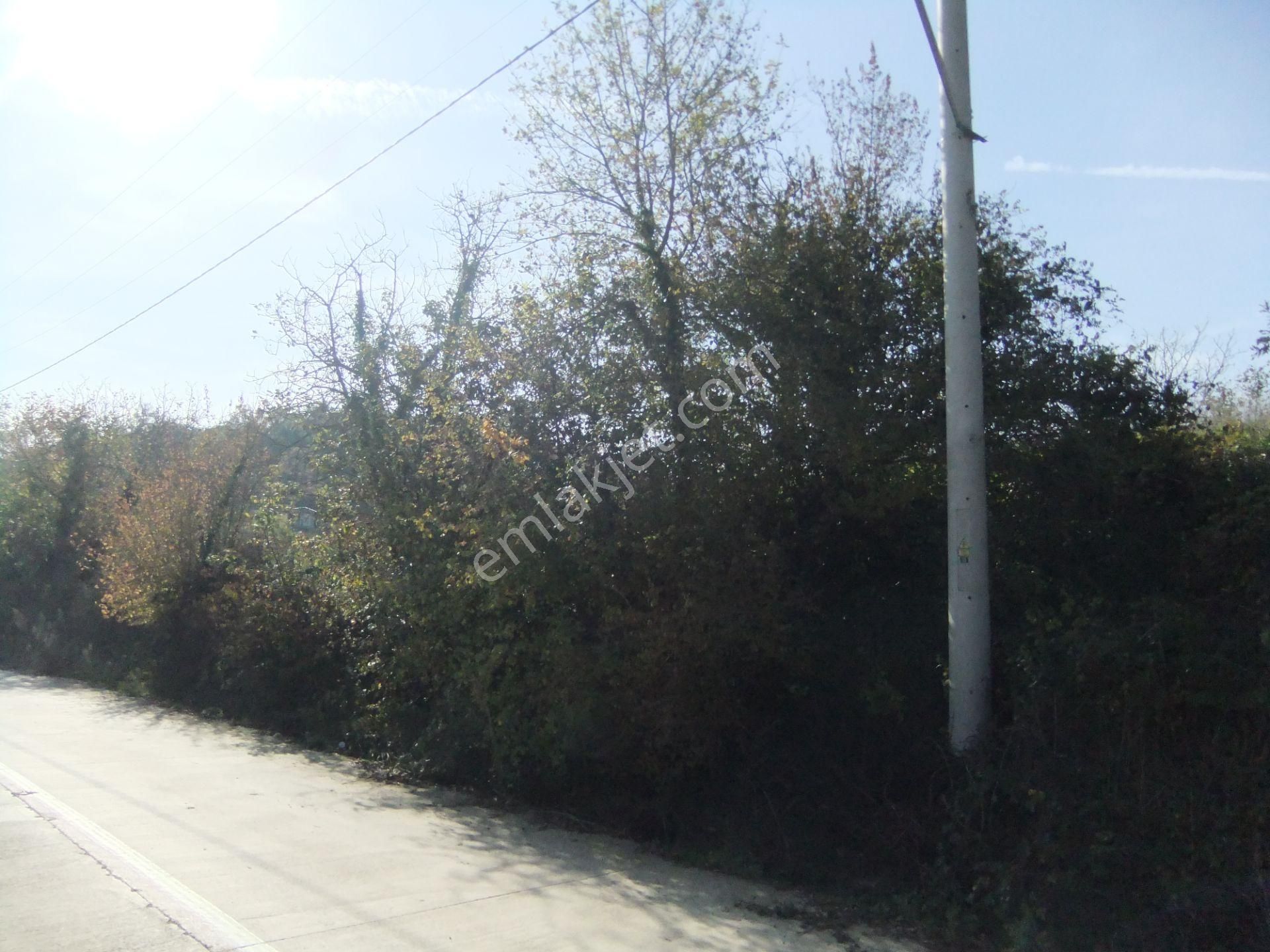 Tezcan Gayrimenkul'den Köy İçi İmarlı Arsa. - Görsel 2