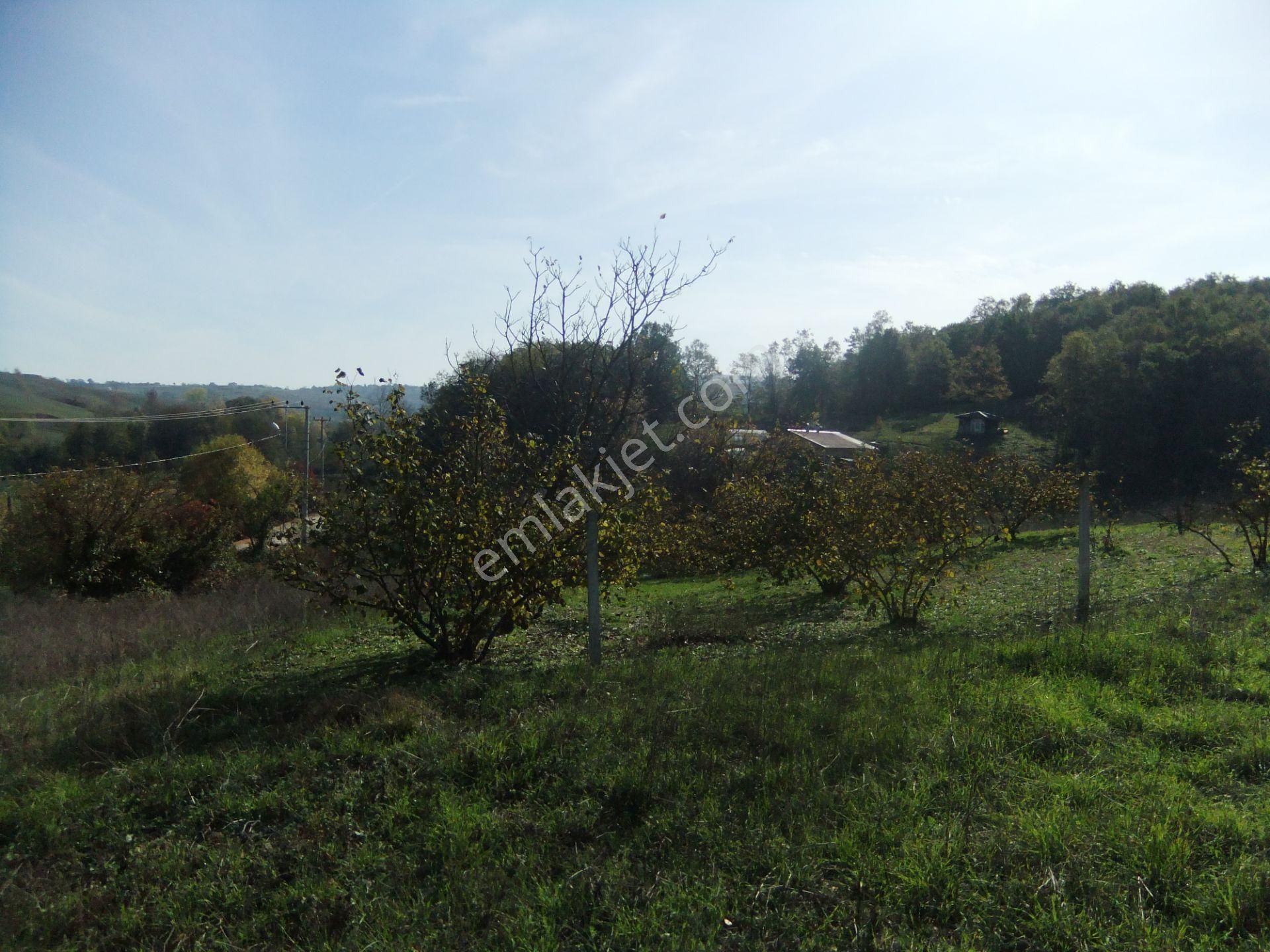 Tezcan Gayrimenkul'den Köy İçi İmarlı Arsa. - Görsel 18