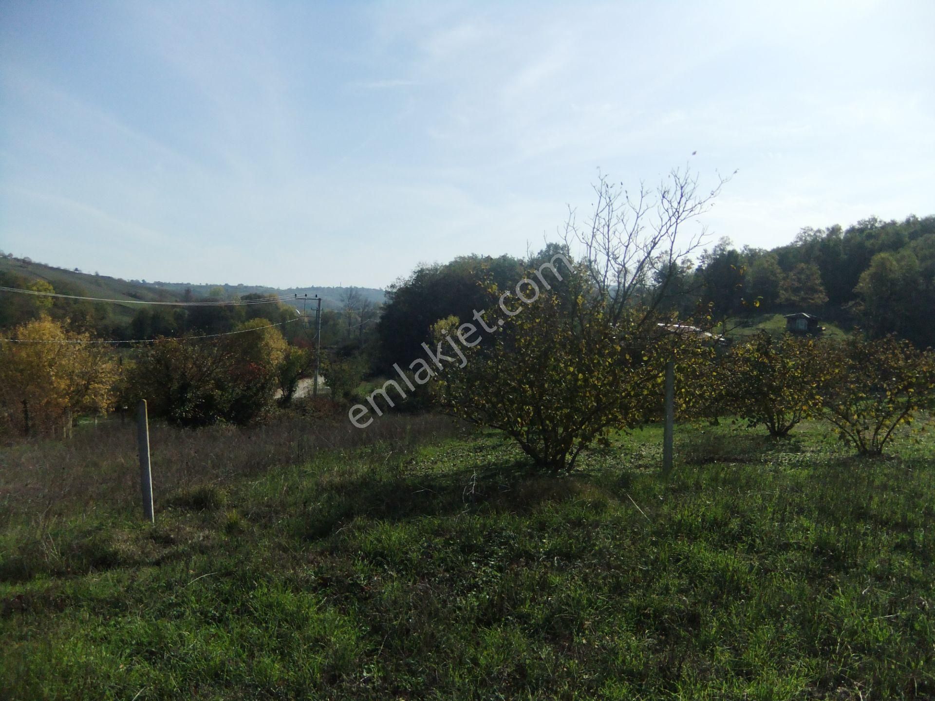 Tezcan Gayrimenkul'den Köy İçi İmarlı Arsa. - Görsel 16