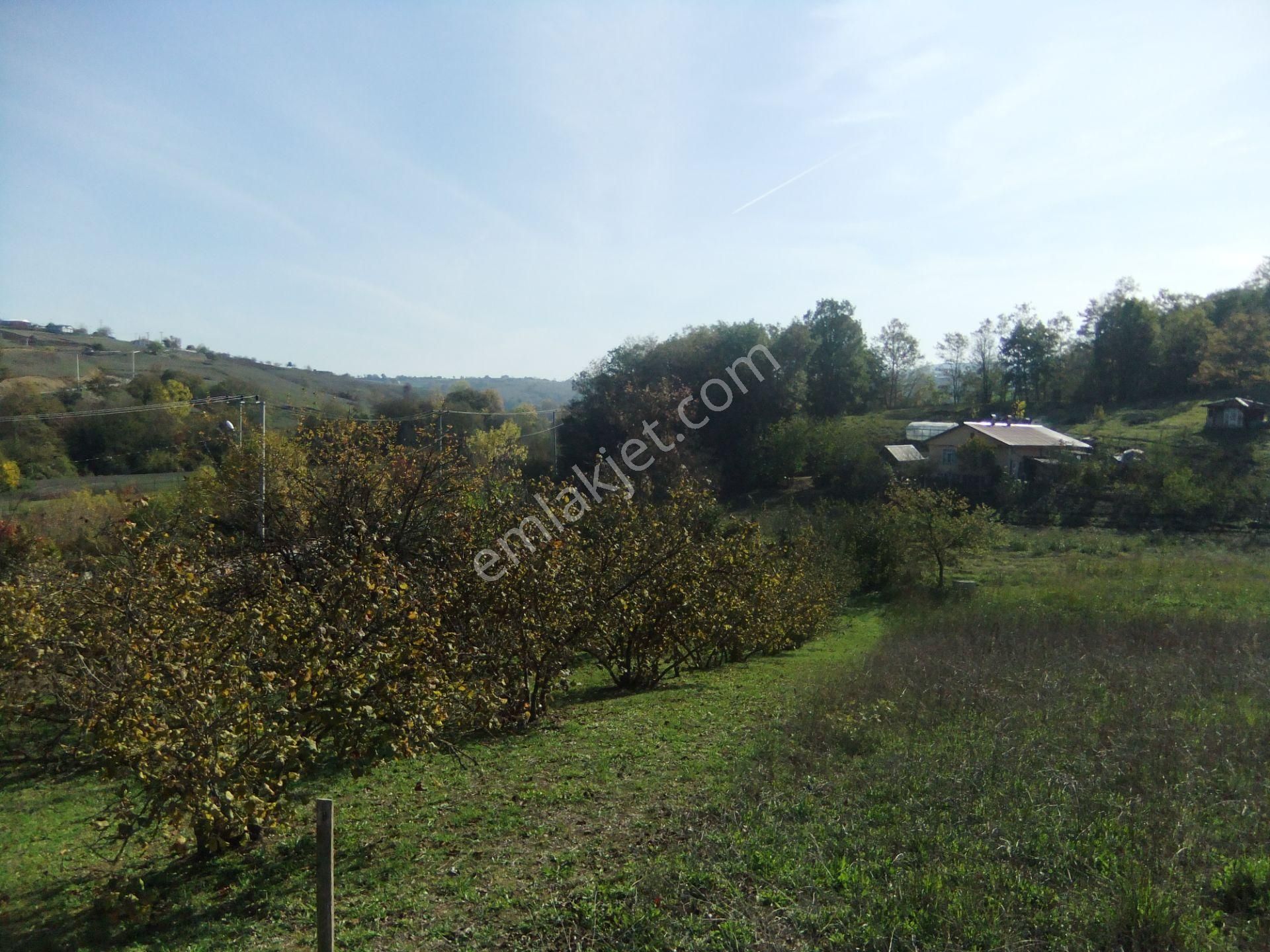 Tezcan Gayrimenkul'den Köy İçi İmarlı Arsa. - Görsel 13