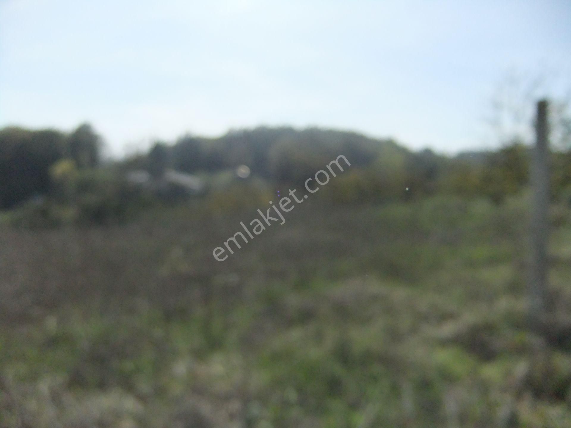 Tezcan Gayrimenkul'den Köy İçi İmarlı Arsa. - Görsel 15