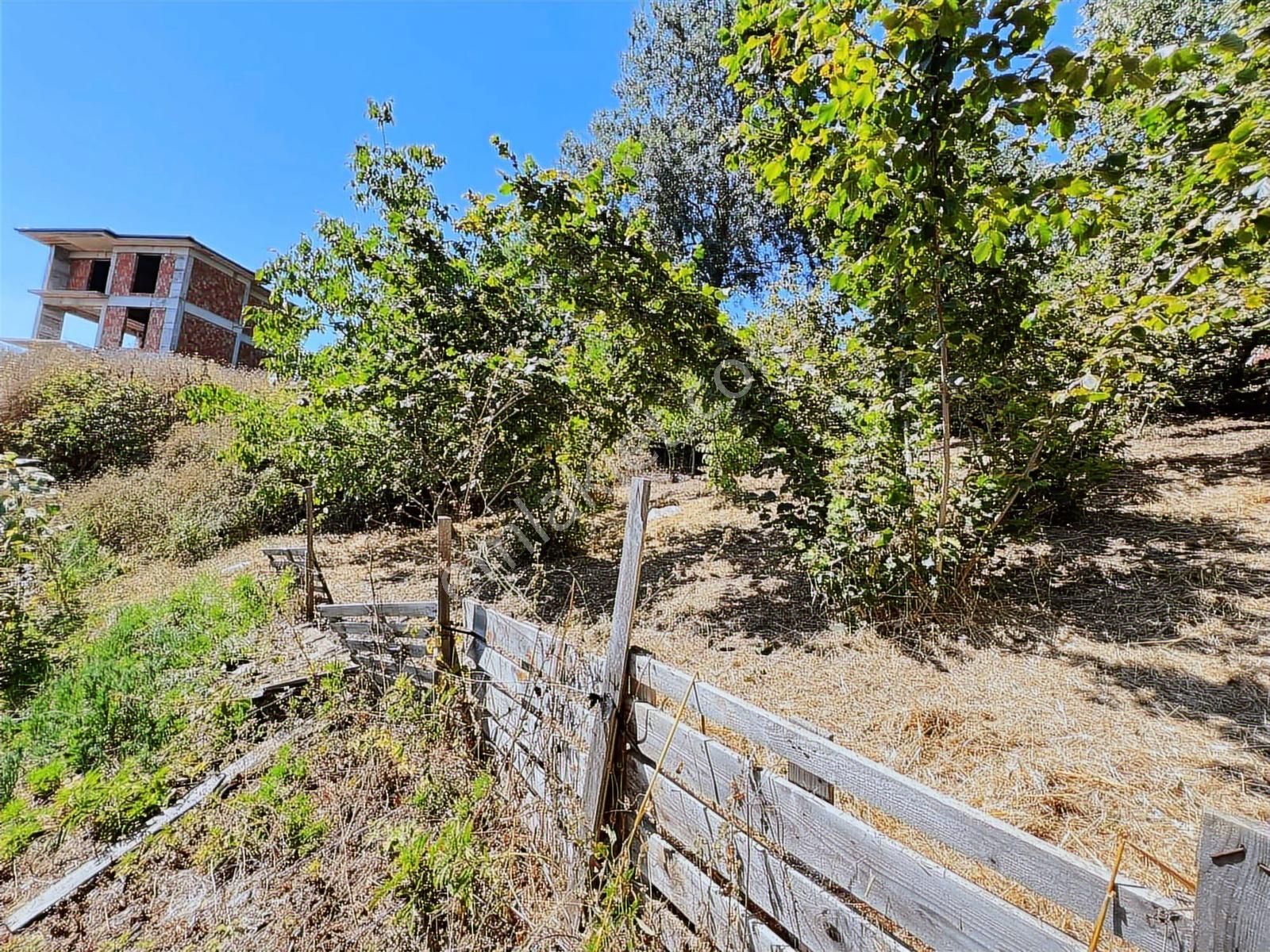 Kocaeli - Kandıra / Topluca Mh. 900 M2 %40 İmarlı Arsa - Görsel 2