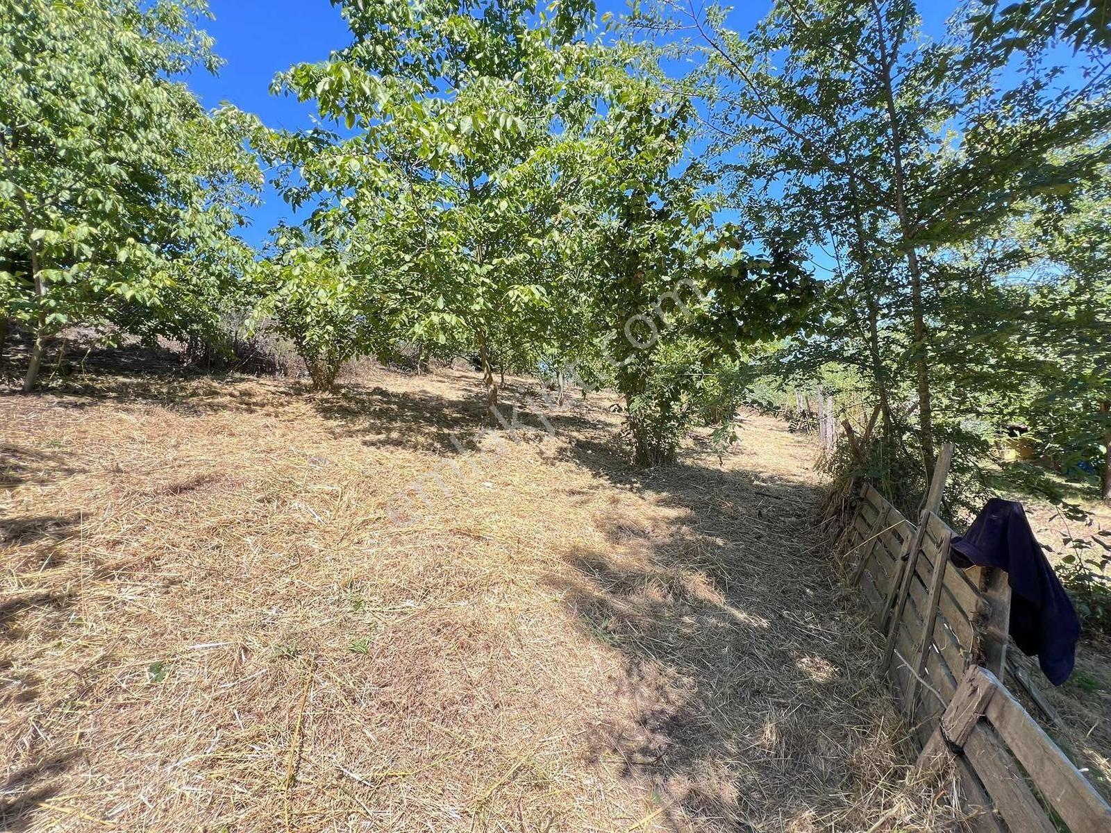 Kocaeli - Kandıra / Topluca Mh. 900 M2 %40 İmarlı Arsa - Görsel 4