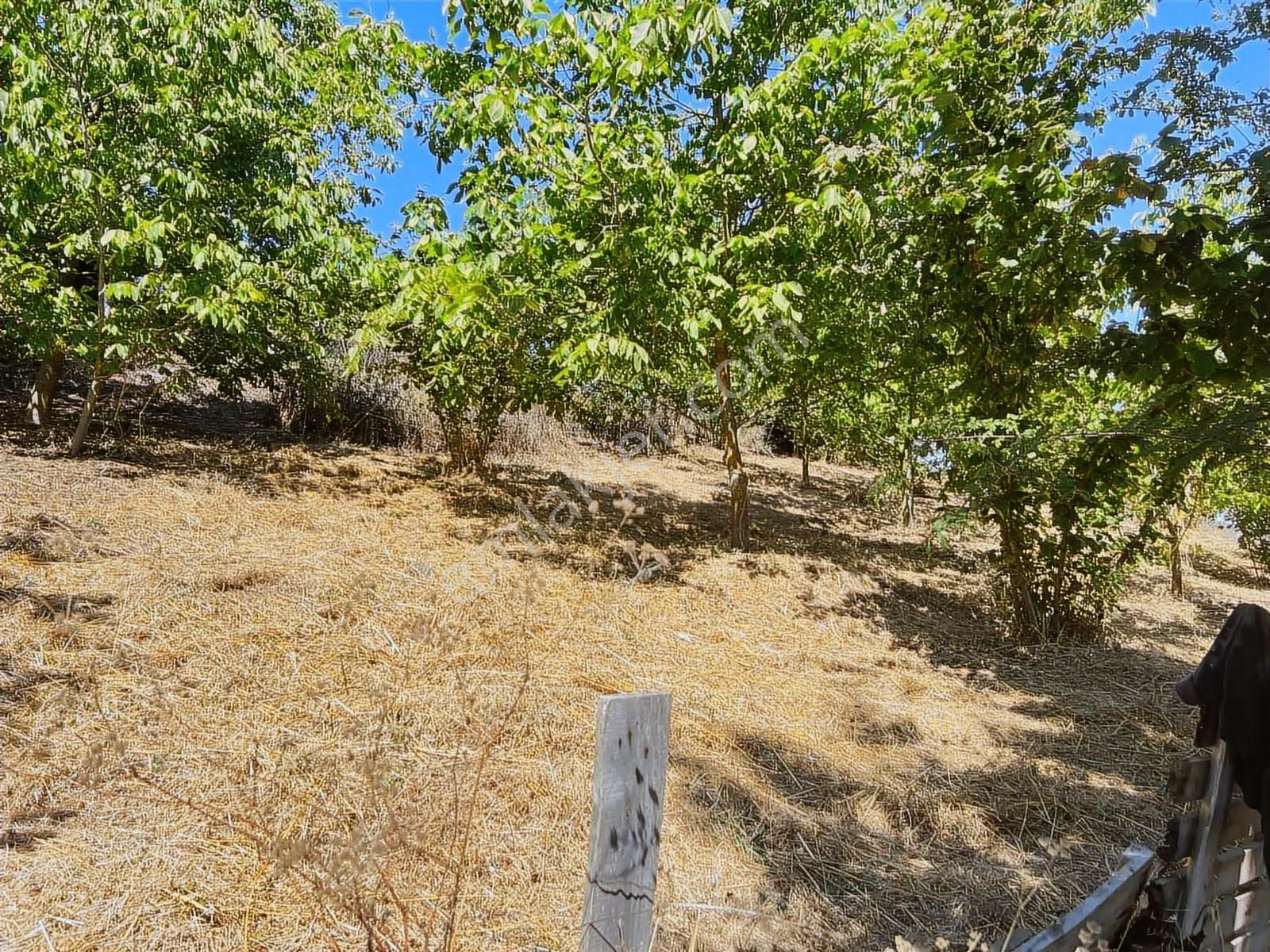 Kocaeli - Kandıra / Topluca Mh. 900 M2 %40 İmarlı Arsa