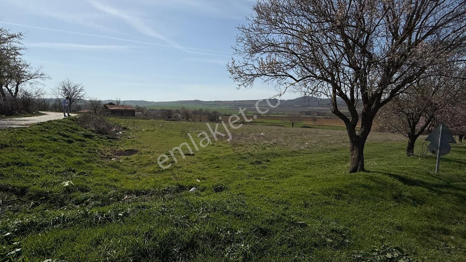 Enez'de 5 Parsel Bir Arada! Her Parselde 3 Villalık İmarlı Arsa - Görsel 4