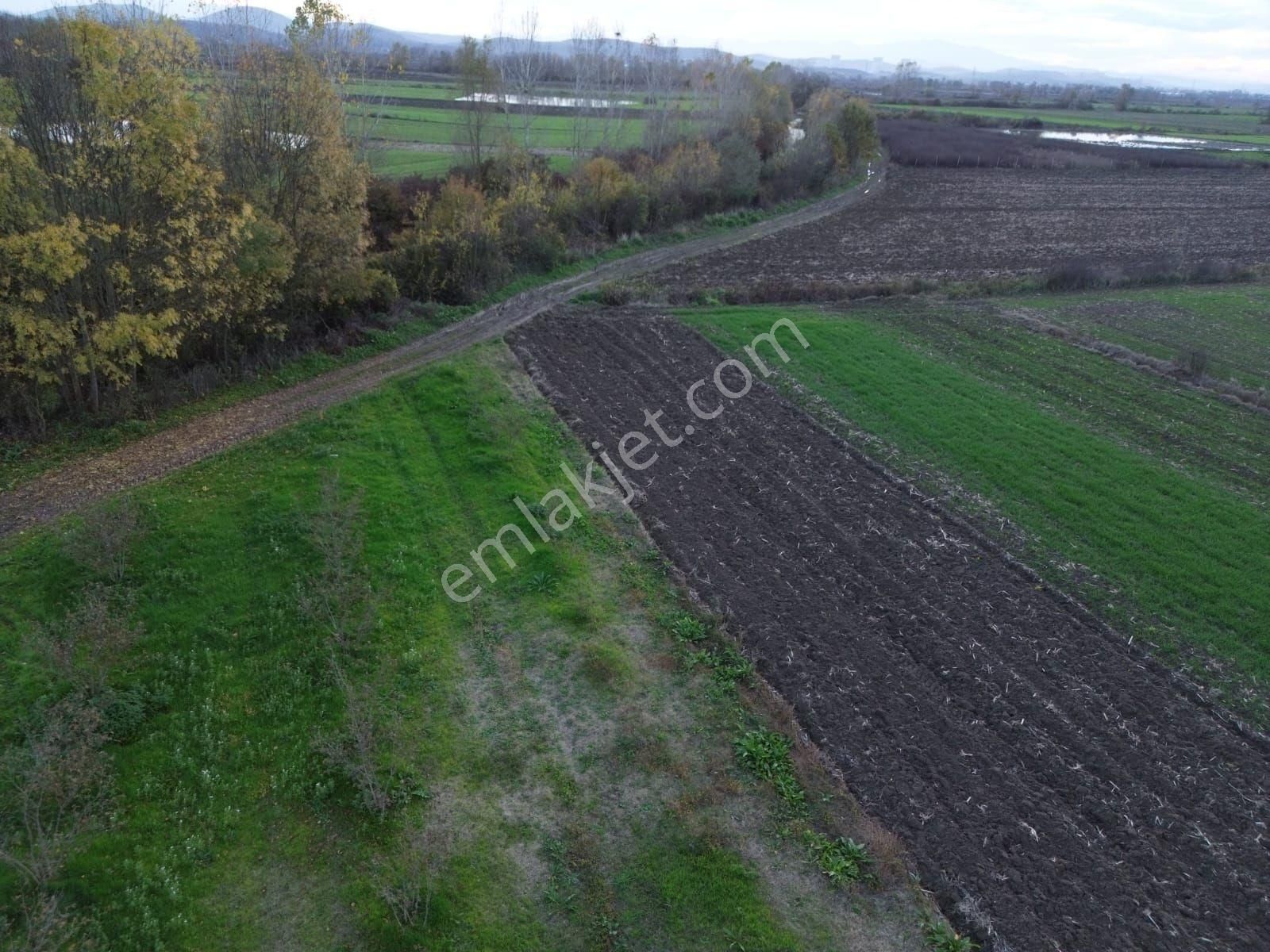 Arazi Uzmanı Recep Davutoğlu'ndan Tarım Arazisi - Görsel 8