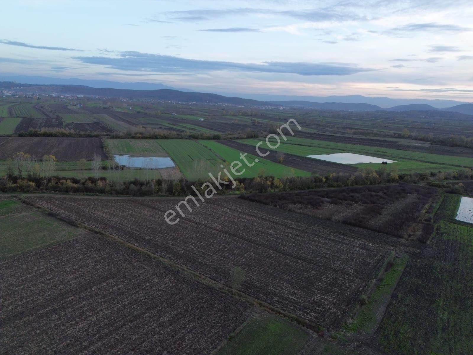 Arazi Uzmanı Recep Davutoğlu'ndan Tarım Arazisi - Görsel 4