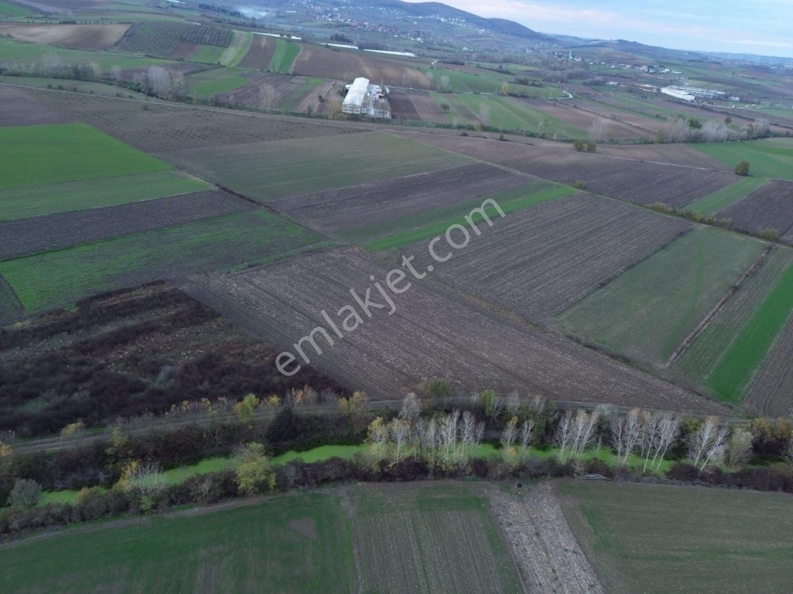 Arazi Uzmanı Recep Davutoğlu'ndan Tarım Arazisi - Görsel 13
