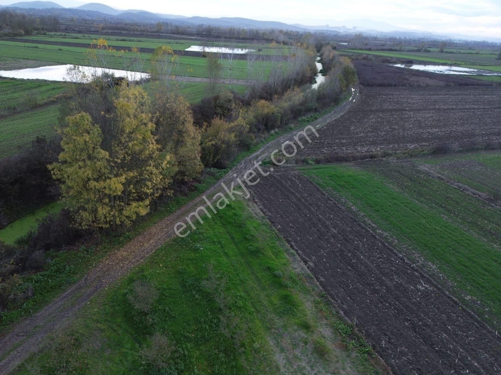 Arazi Uzmanı Recep Davutoğlu'ndan Tarım Arazisi - Görsel 9