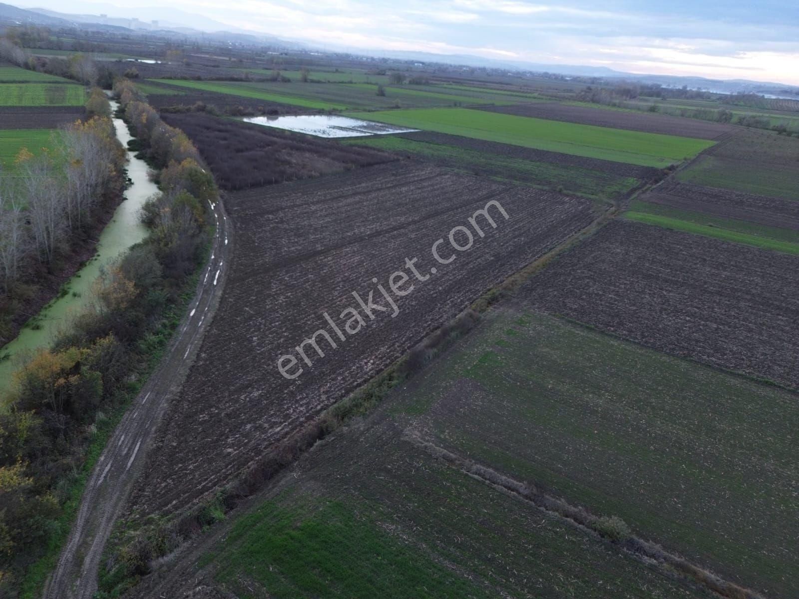 Arazi Uzmanı Recep Davutoğlu'ndan Tarım Arazisi - Görsel 11