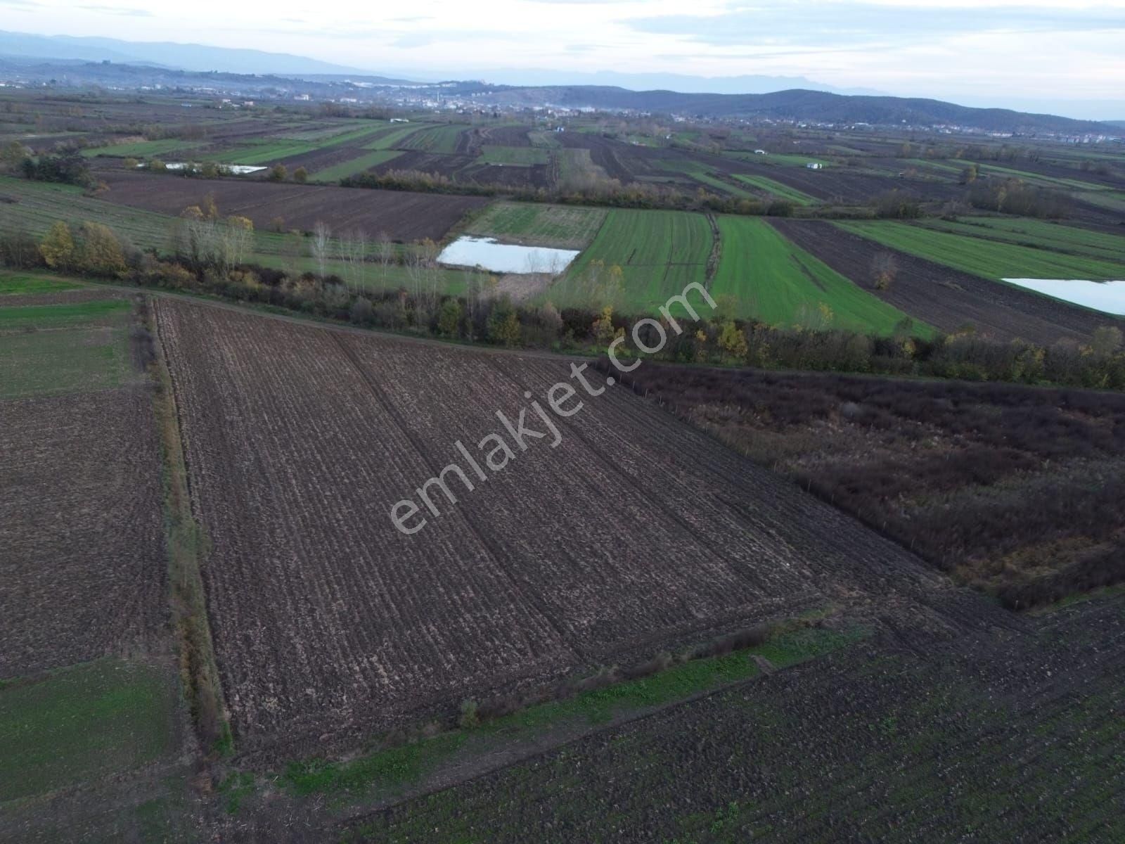 Arazi Uzmanı Recep Davutoğlu'ndan Tarım Arazisi - Görsel 6