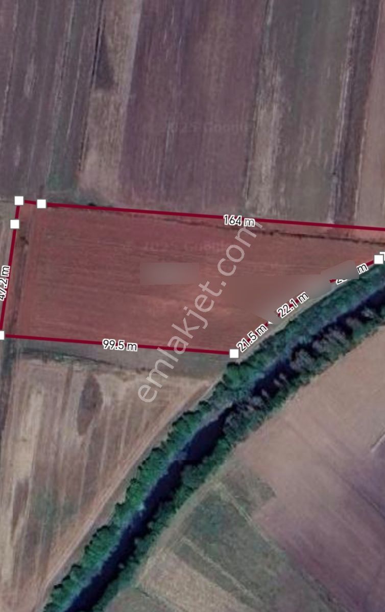 Arazi Uzmanı Recep Davutoğlu'ndan Tarım Arazisi - Görsel 15