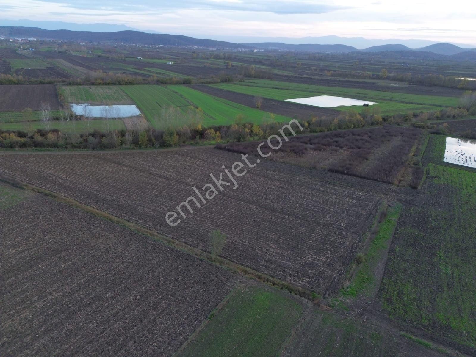 Arazi Uzmanı Recep Davutoğlu'ndan Tarım Arazisi - Görsel 10