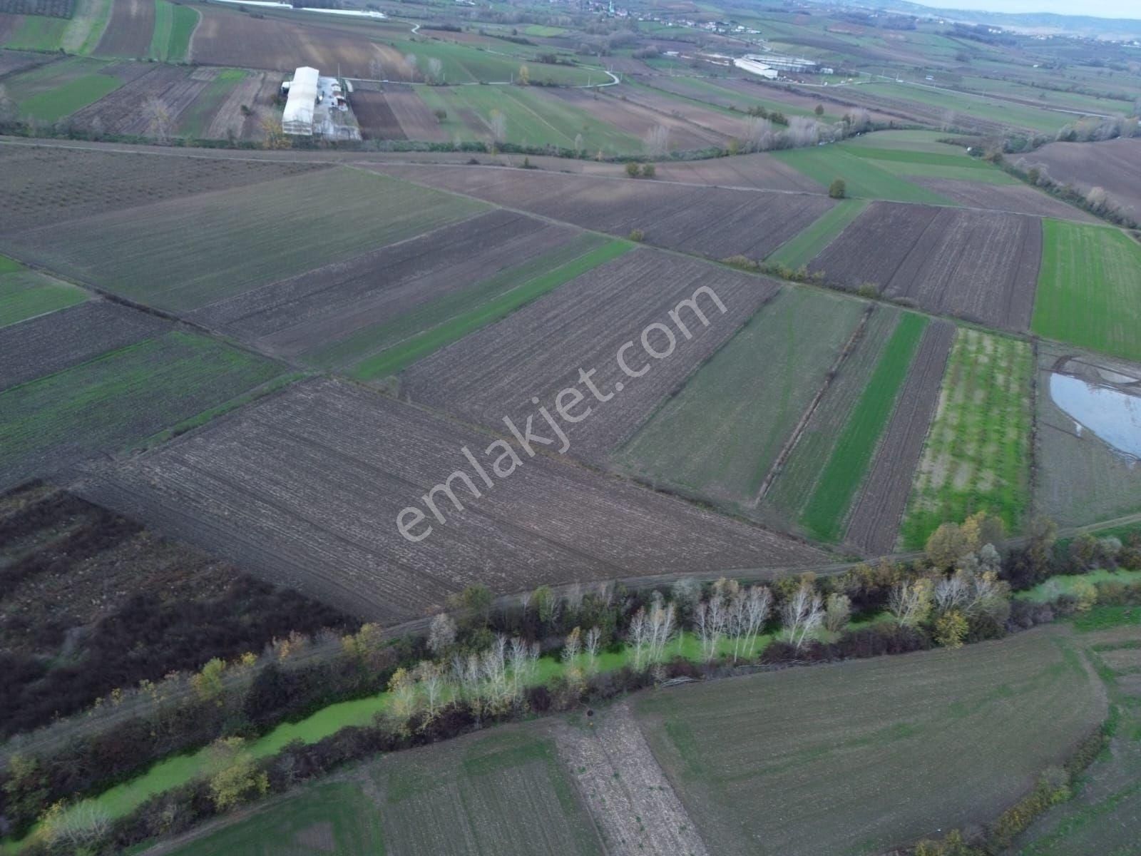 Arazi Uzmanı Recep Davutoğlu'ndan Tarım Arazisi - Görsel 14