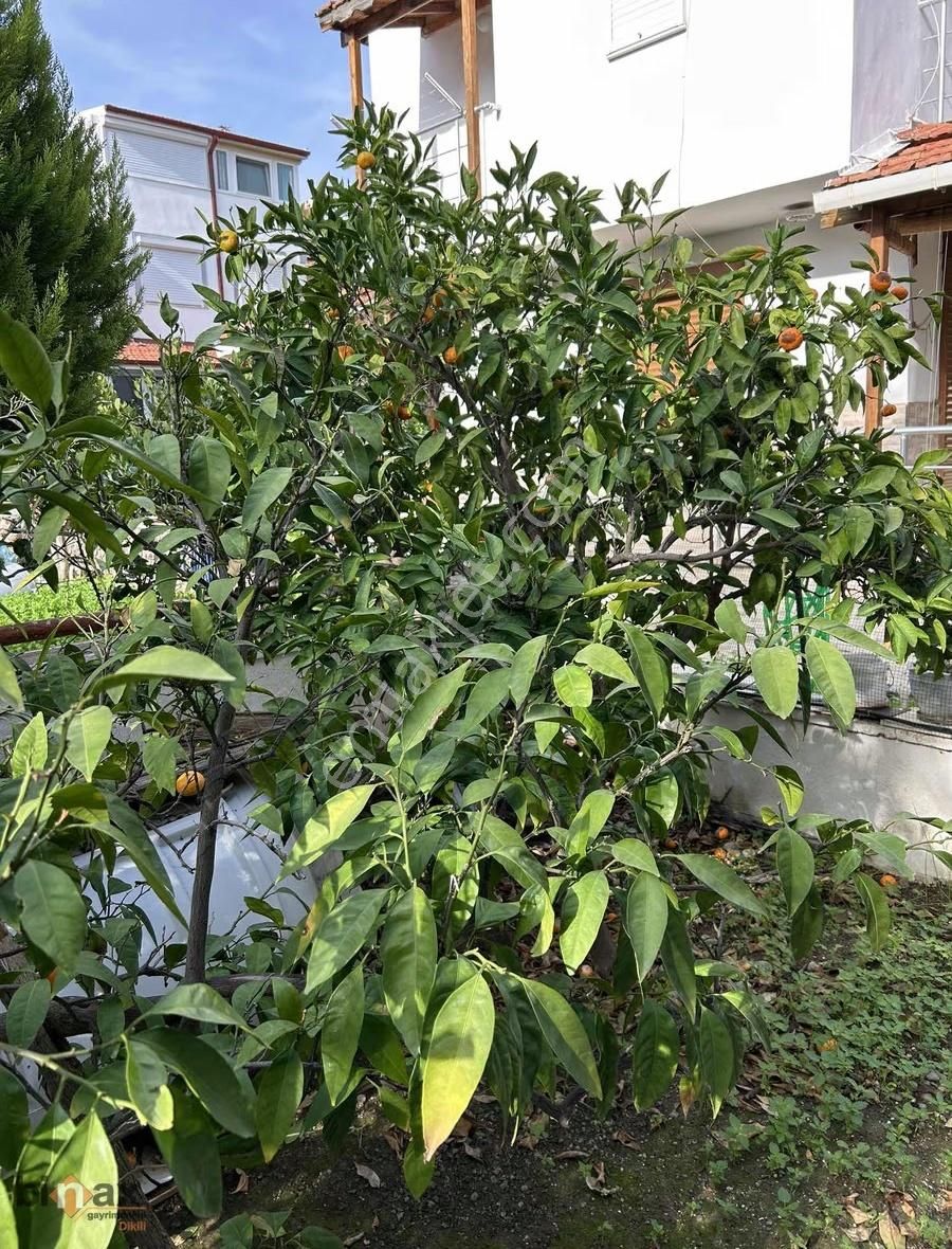 Dikili Çandarlı Sahilde Bakımlı 3+1 Villa - Görsel 18