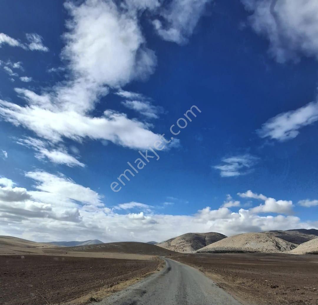 Yaşar Emlaktan Satılık Tarla - Görsel 13