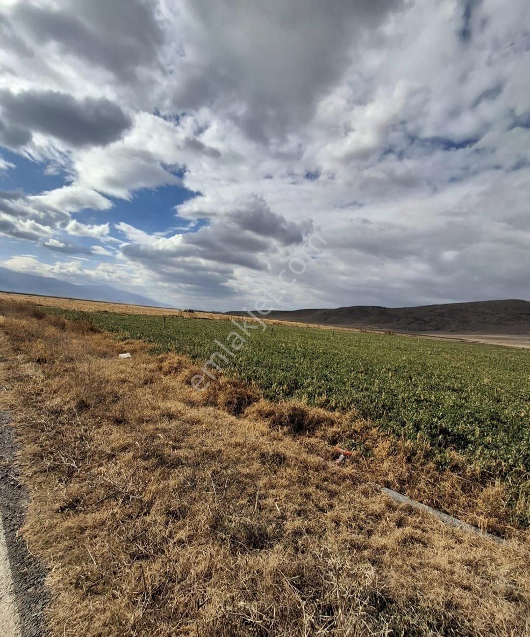 Yaşar Emlaktan Satılık Tarla - Görsel 8
