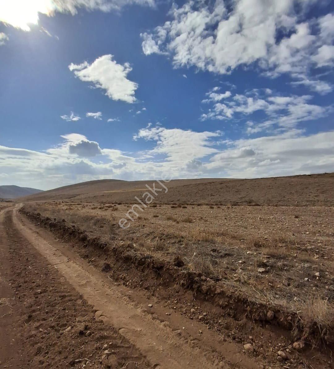 Yaşar Emlaktan Satılık Tarla - Görsel 11