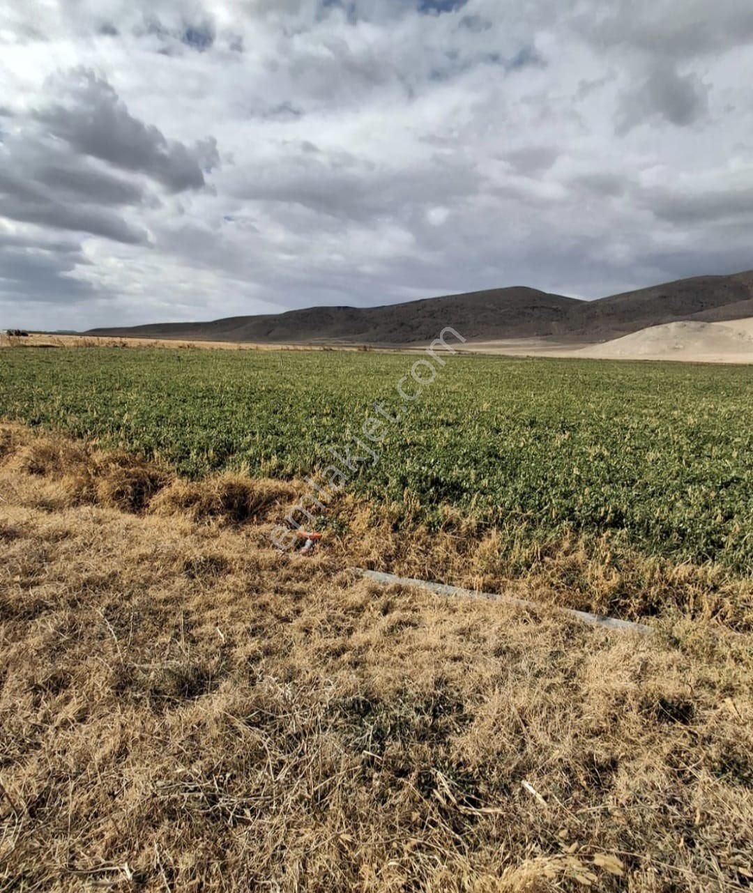 Yaşar Emlaktan Satılık Tarla - Görsel 7